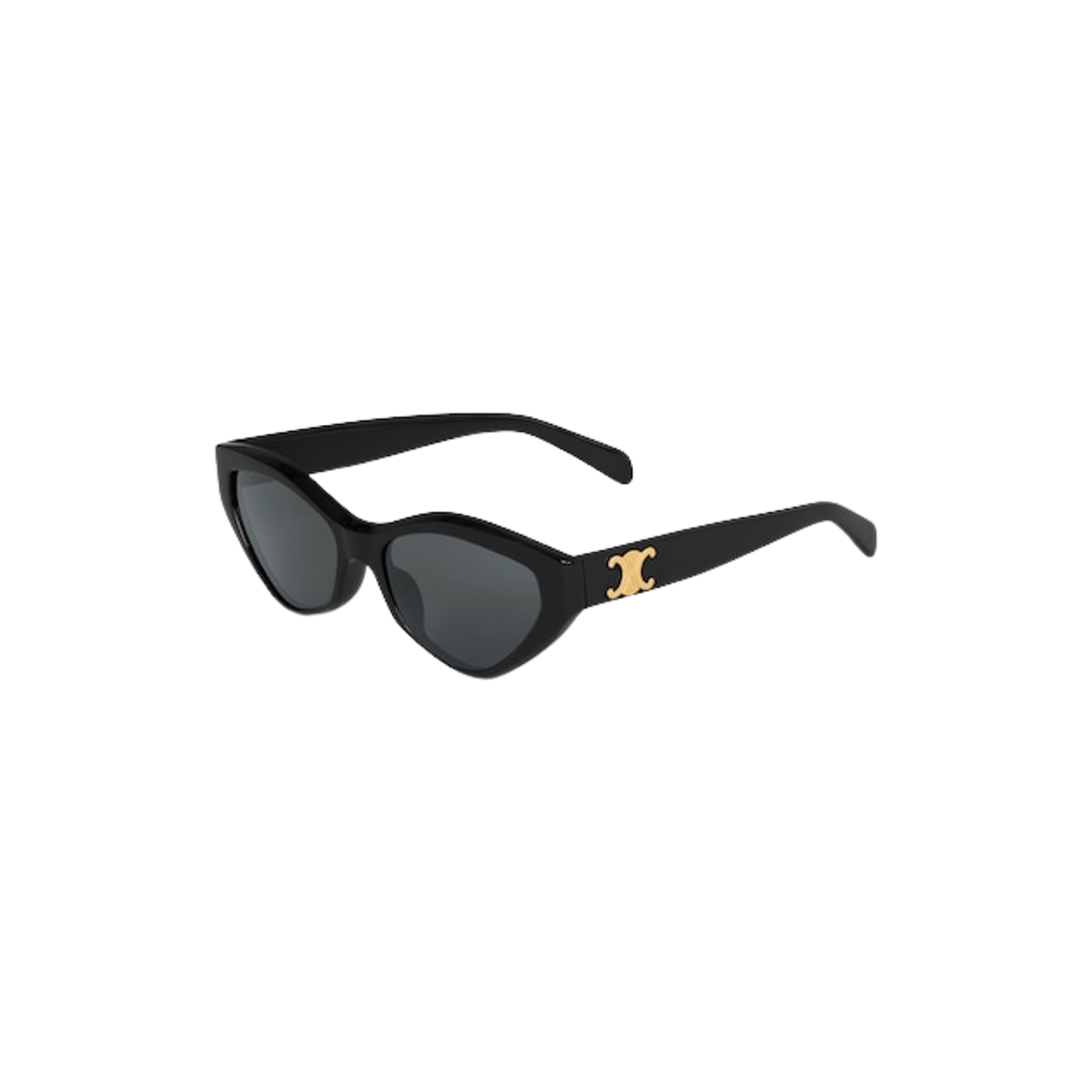 (W) 셀린느 아세테이트 트리옹프 17 선글라스 블랙((W) Celine Triomphe 17 Sunglasses in Acetate Black) - 2