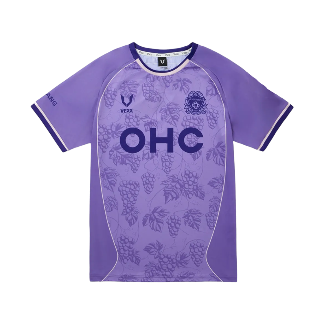 - FC Anyang x V-EXX 25 Third Uniform Field Purple (Non Marking Ver.)