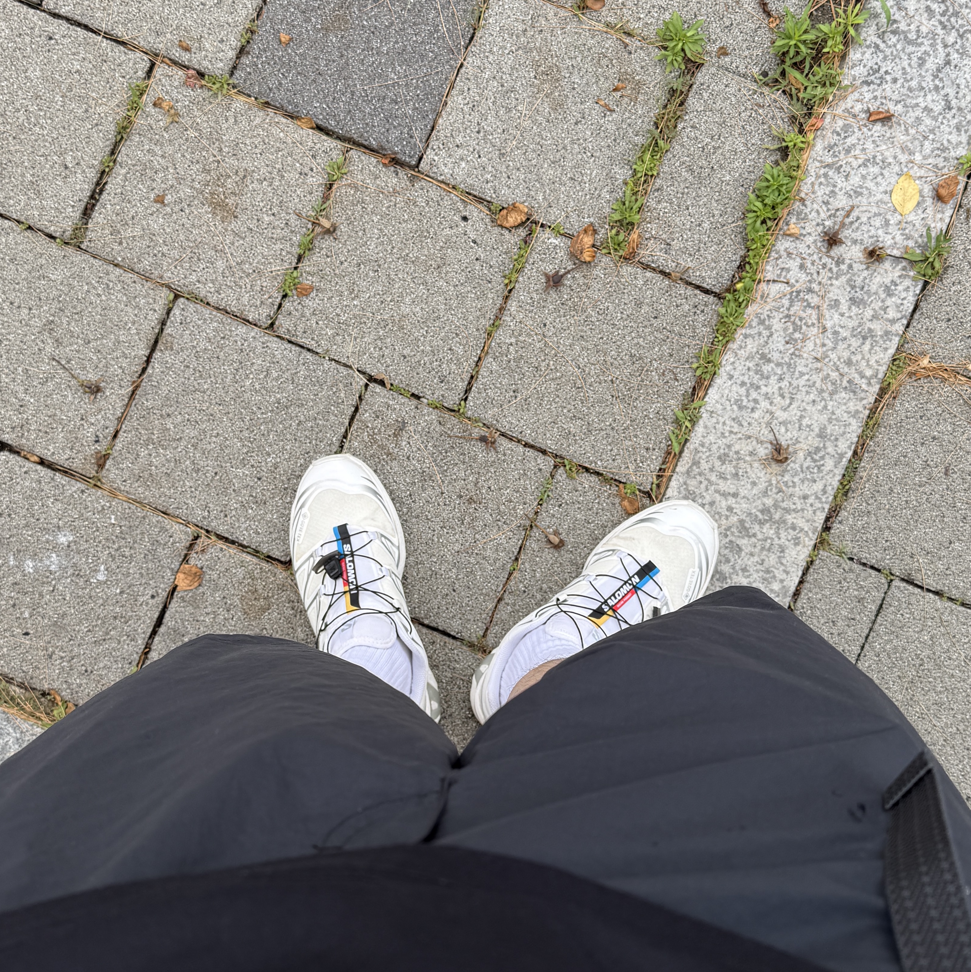 Salomon XT-6 Gore-Tex White Silver, Nike ACG Orb Weaver UV Repel Oversized Shorts Black Anthracite - Asia 착용 스타일