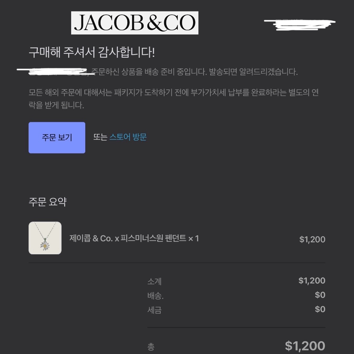 Jacob & Co x Peaceminusone Pendant Sterling Silver & Yellow Gold 착용 스타일