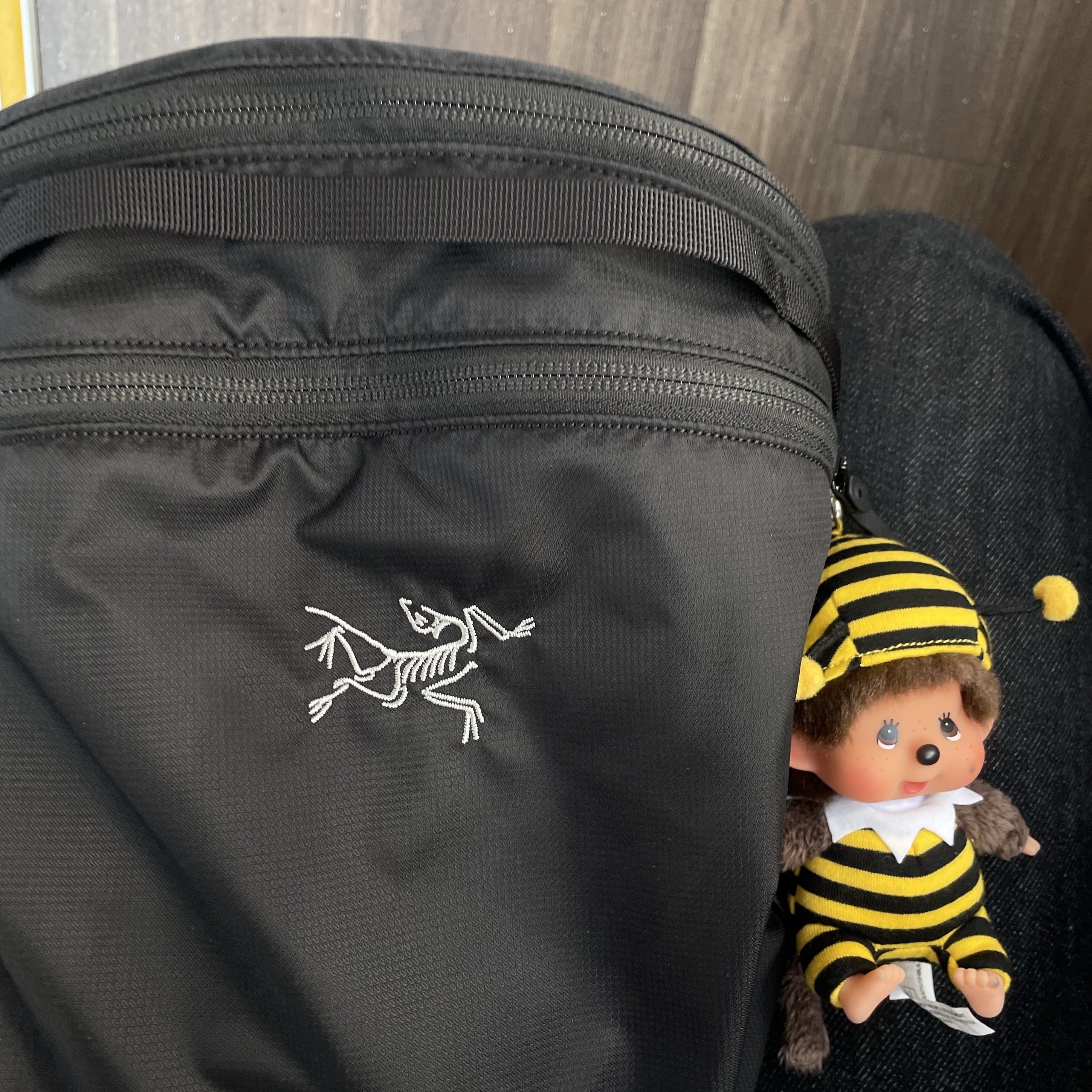 Arc'teryx Heliad 15 Backpack Black, Monchhichi Bighead SS Bee Key Chain 착용 스타일