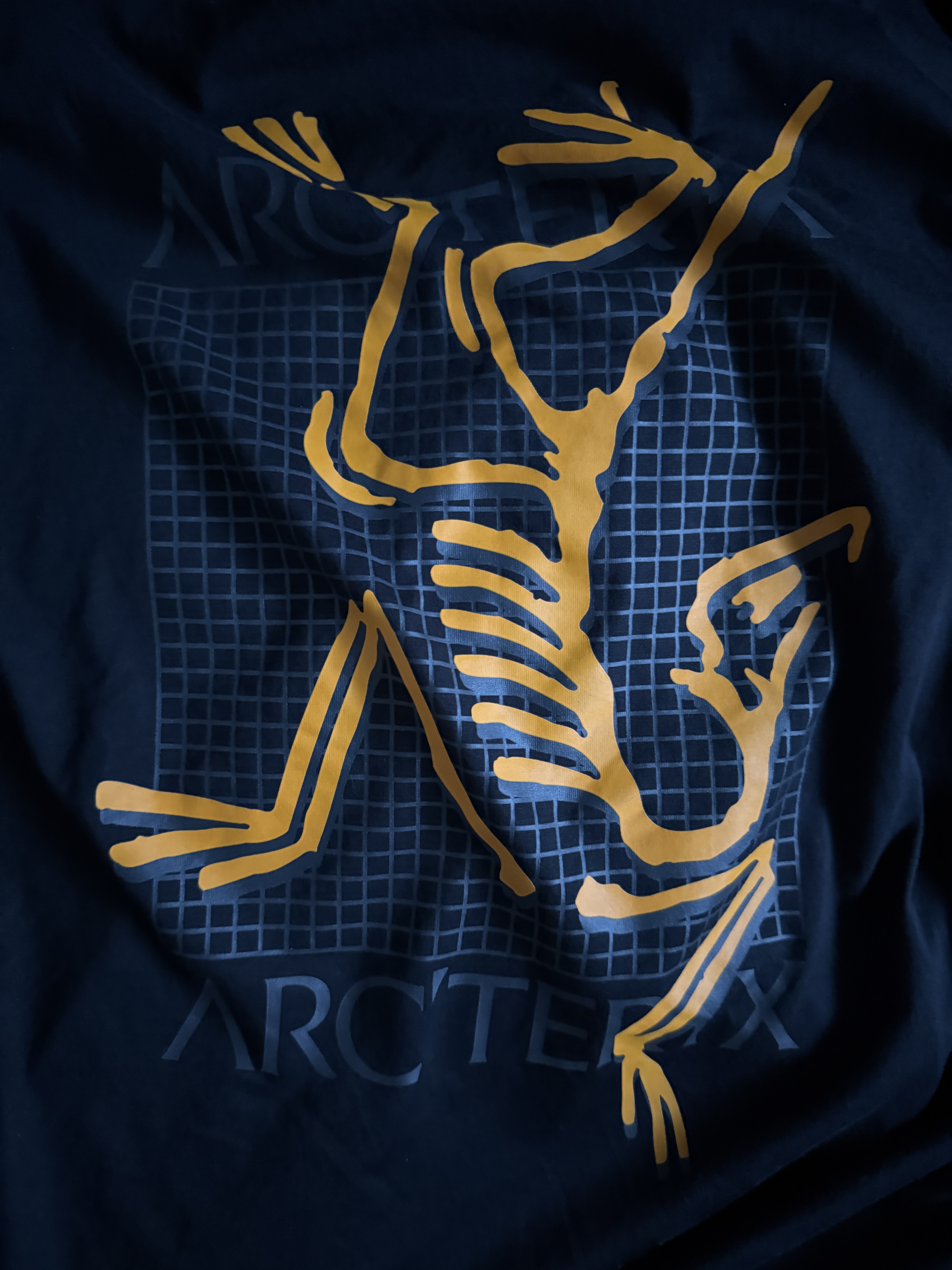 Arc'teryx Arc'Multi Bird Logo SS T-Shirt Black 착용 스타일