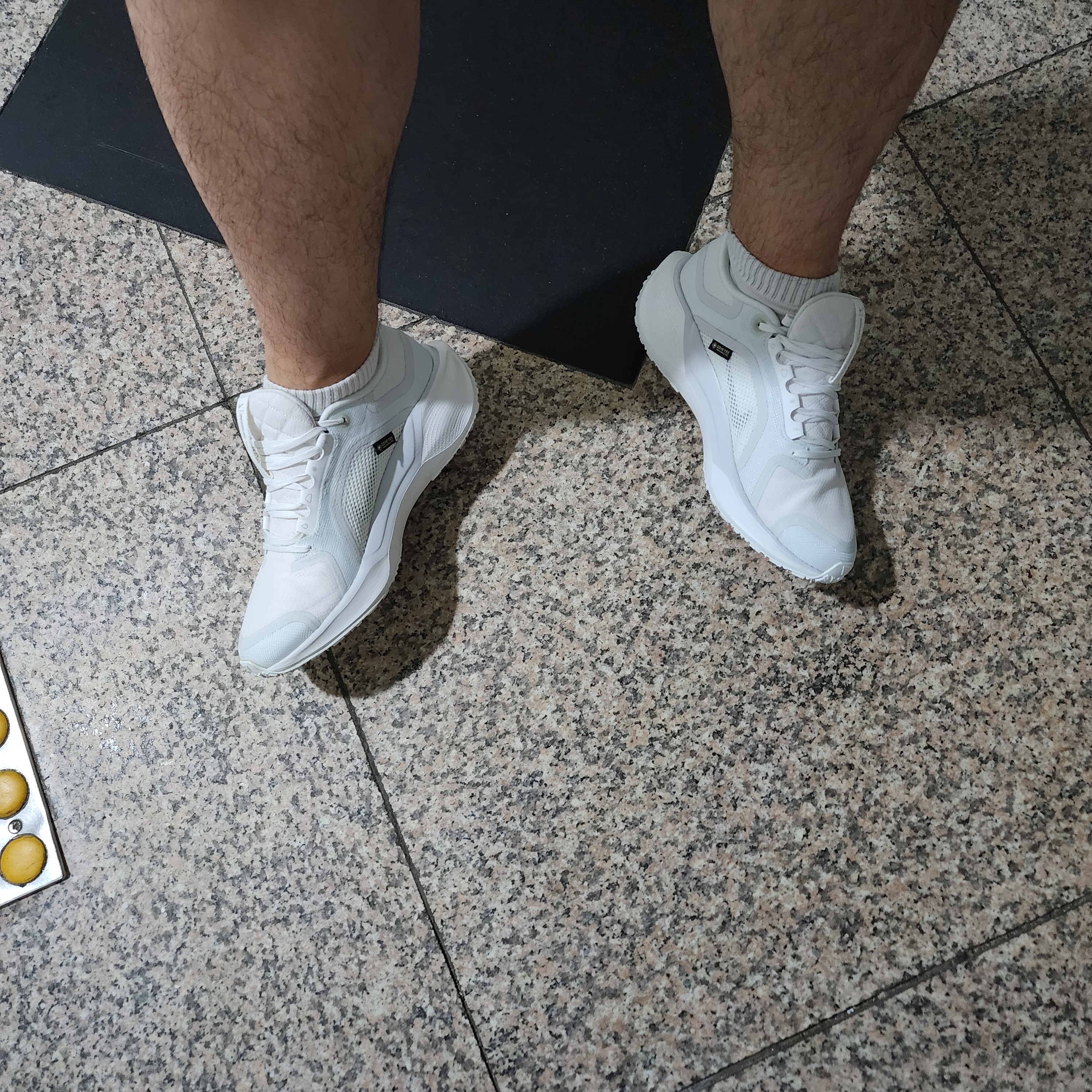 Nike Air Zoom Pegasus 41 Gore-Tex Summit White Photon Dust 착용 스타일 - 2