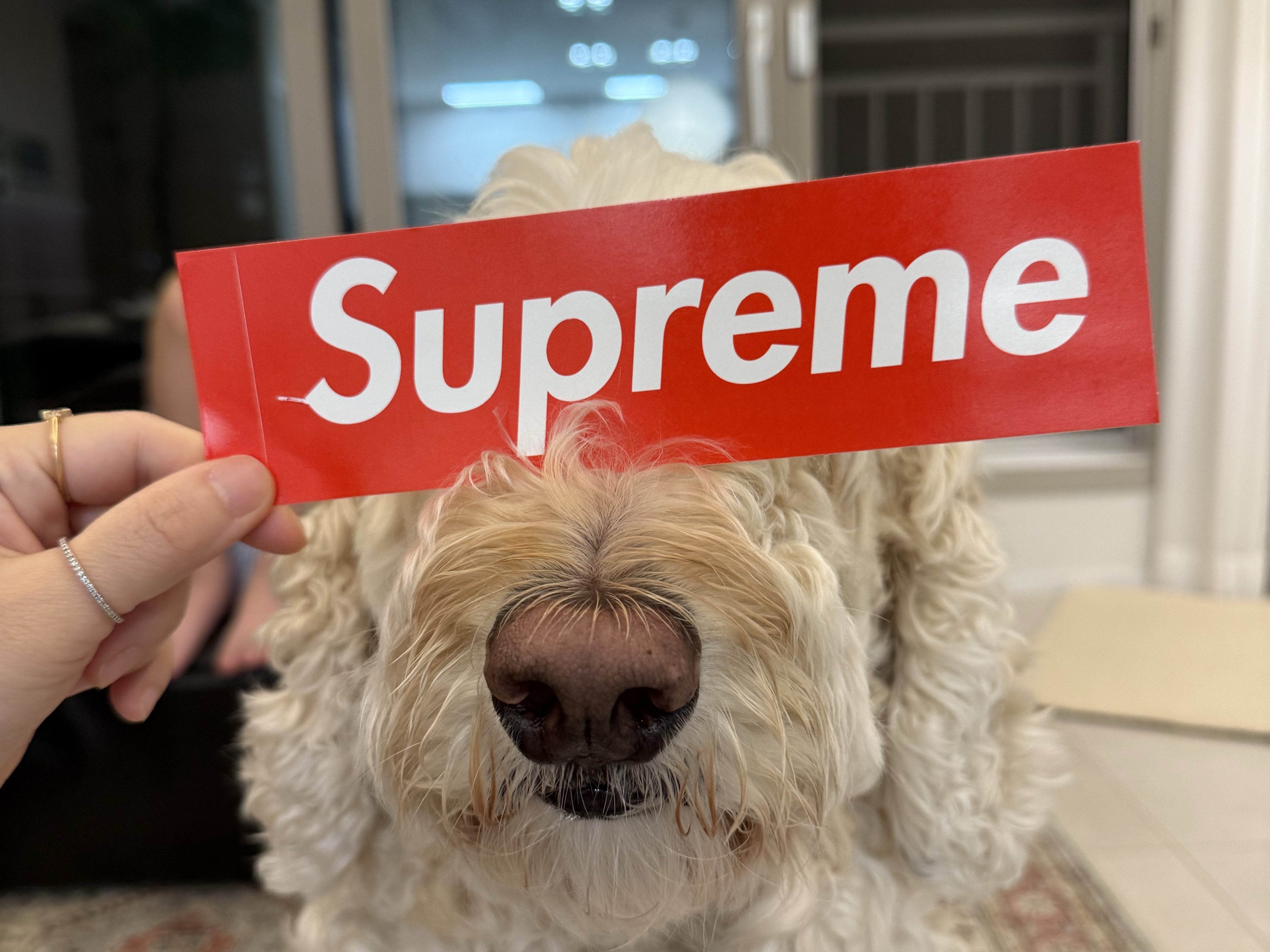 Supreme x Toyo Steel T-190 Mini Toolbox Red - 25SS, Supreme x Toyo Steel T-190 Mini Toolbox Silver - 25SS 착용 스타일 - 7