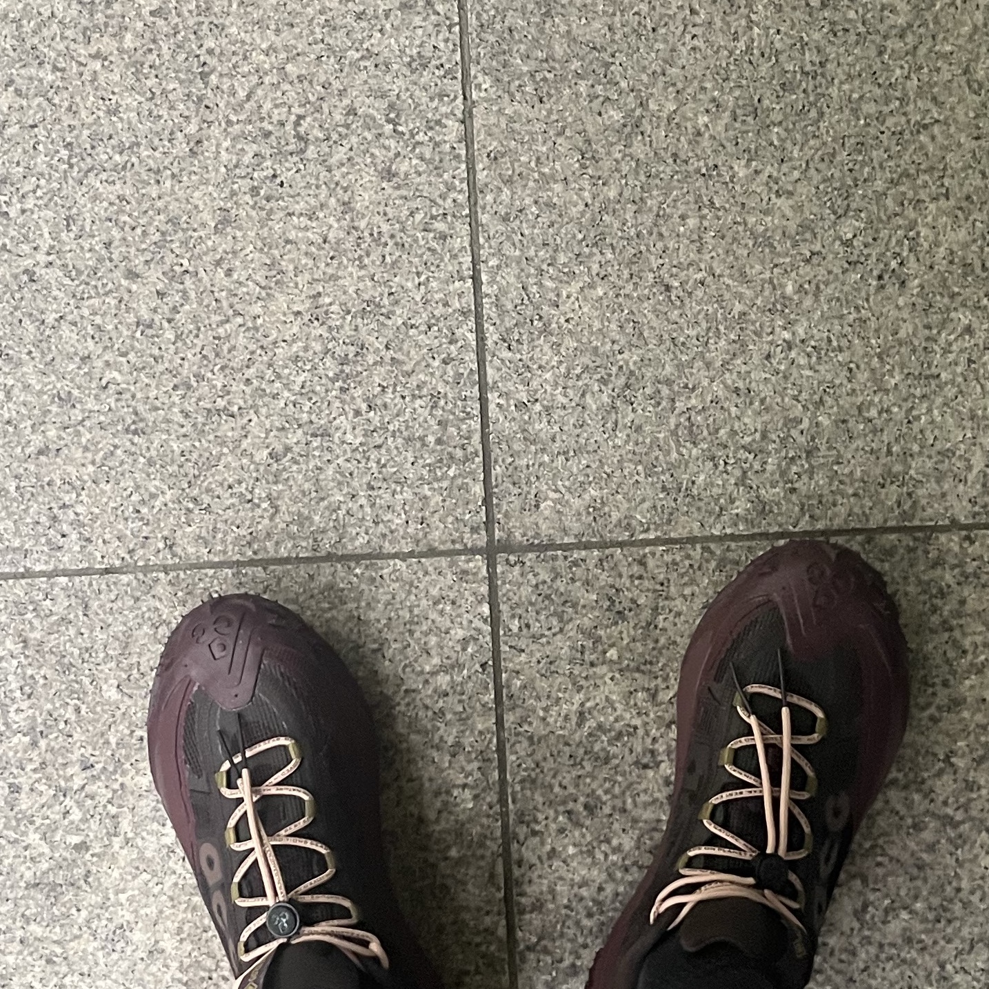 Nike ACG Mountain Fly 2 Low Gore-Tex Burgundy Crush and Velvet Brown 착용 스타일