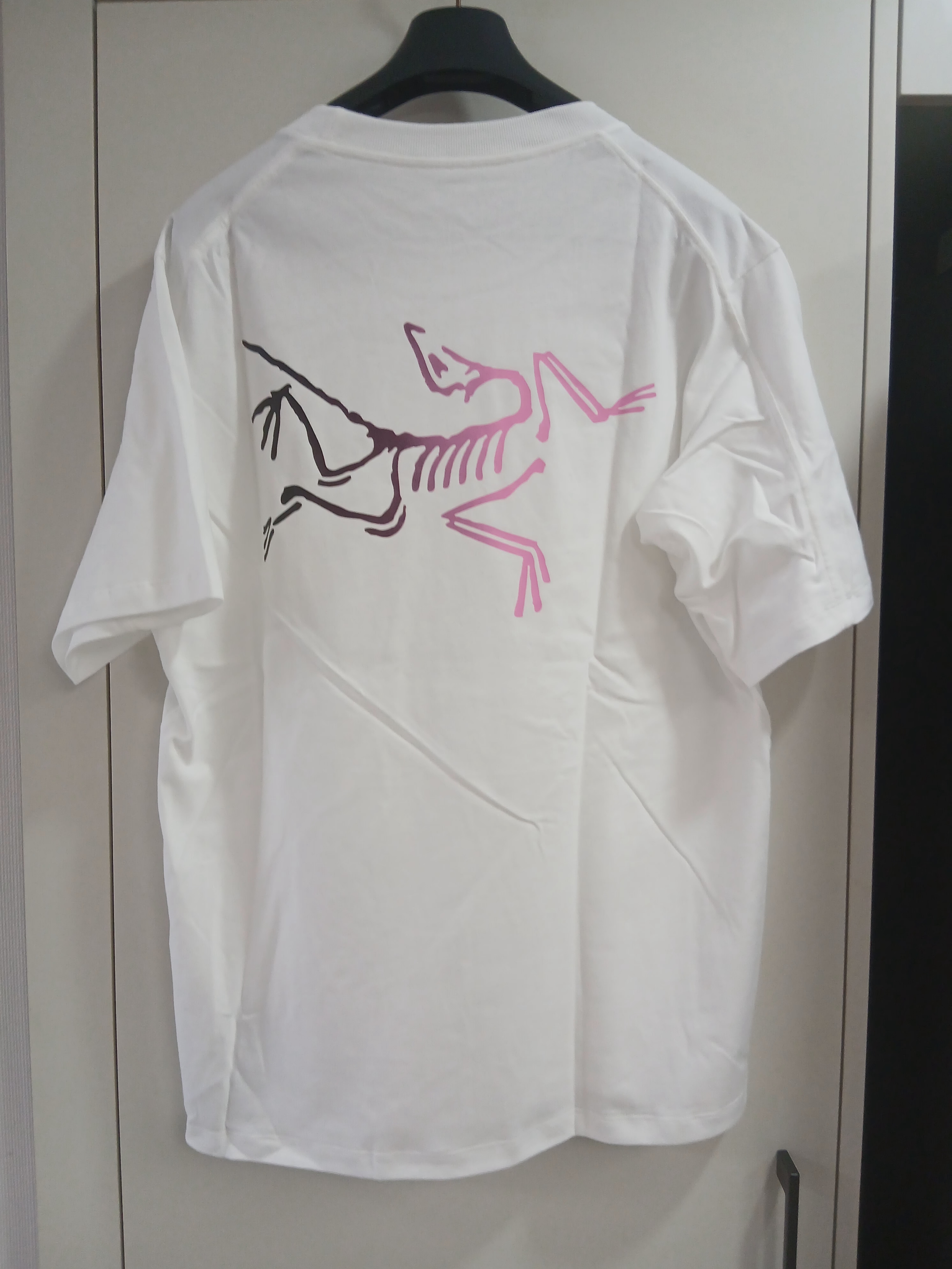 Arc'teryx Kragg Cotton Logo SS T-Shirt White Light Soul 착용 스타일 - 1