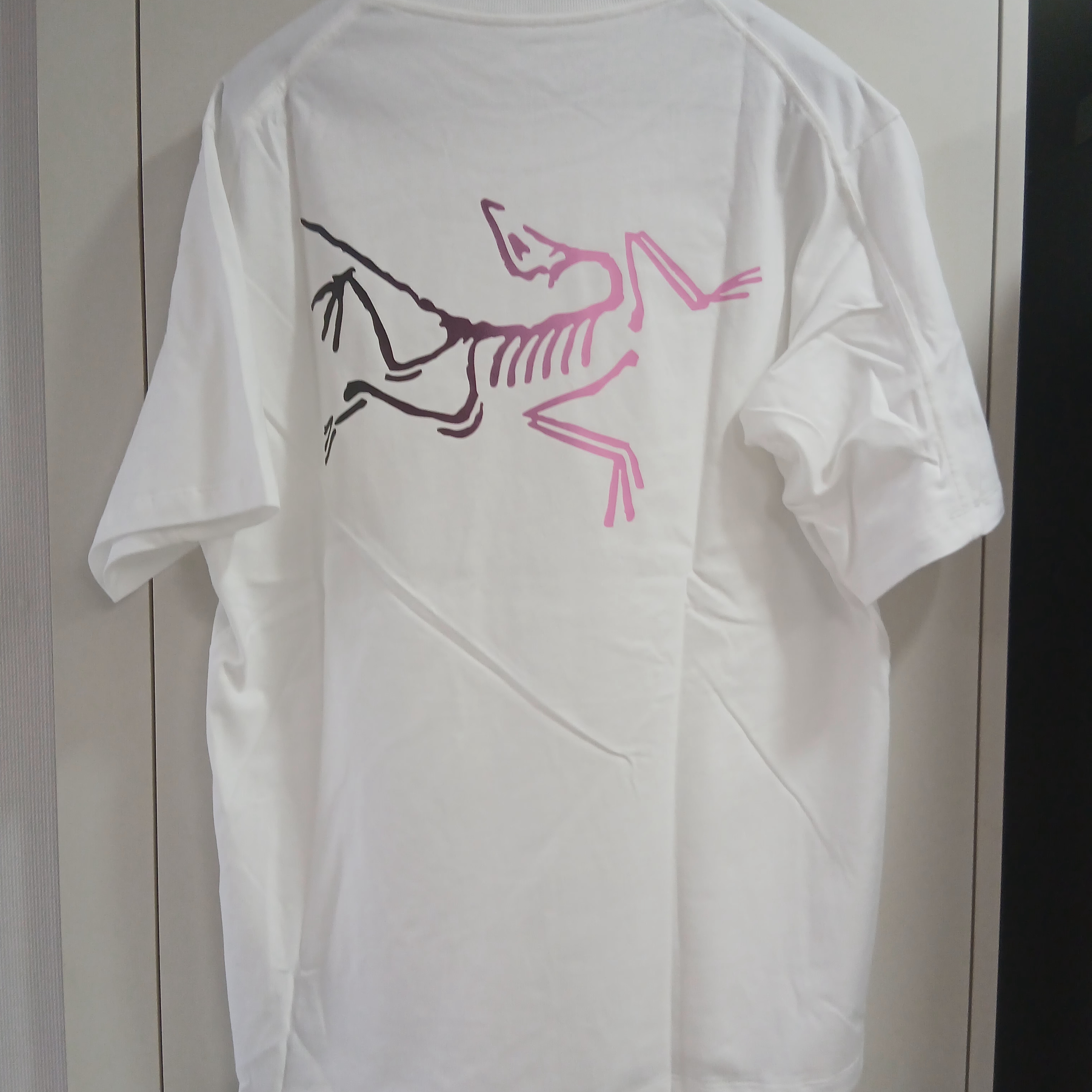 Arc'teryx Kragg Cotton Logo SS T-Shirt White Light Soul, Arc'teryx Kragg Cotton Logo SS T-Shirt 24K Black 착용 스타일 - 3