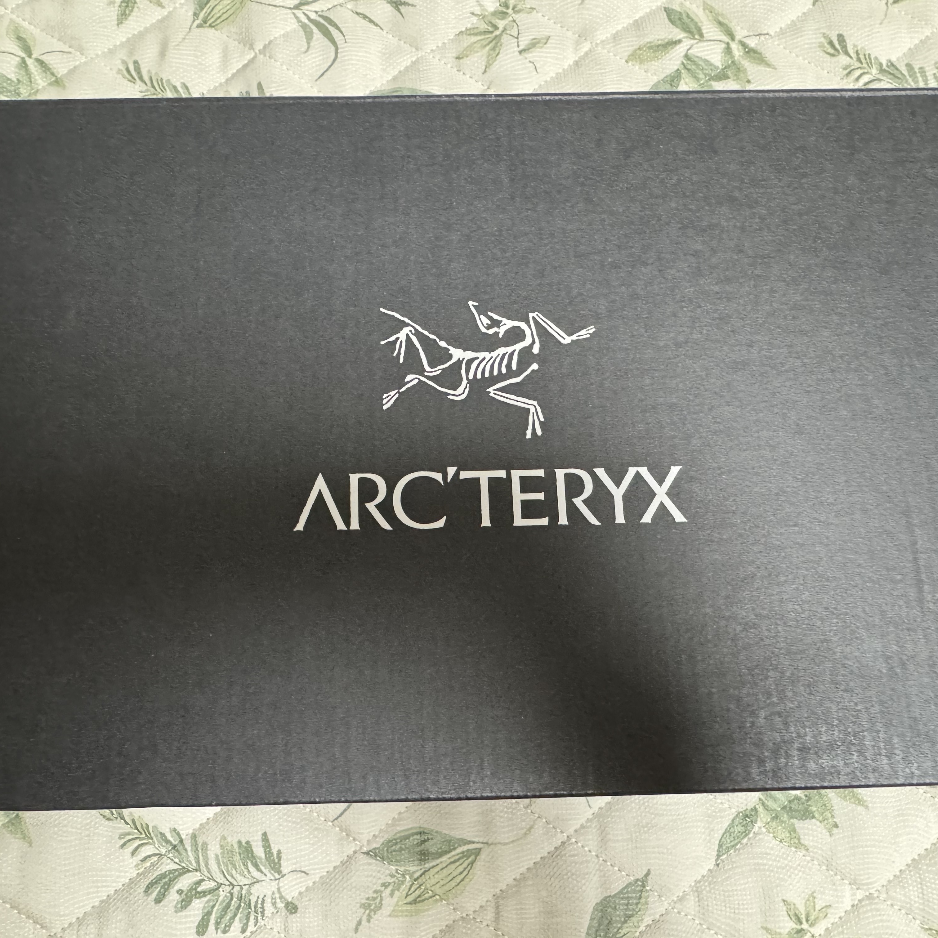 Arc'teryx Kragg Arctic Silk 착용 스타일 - 3