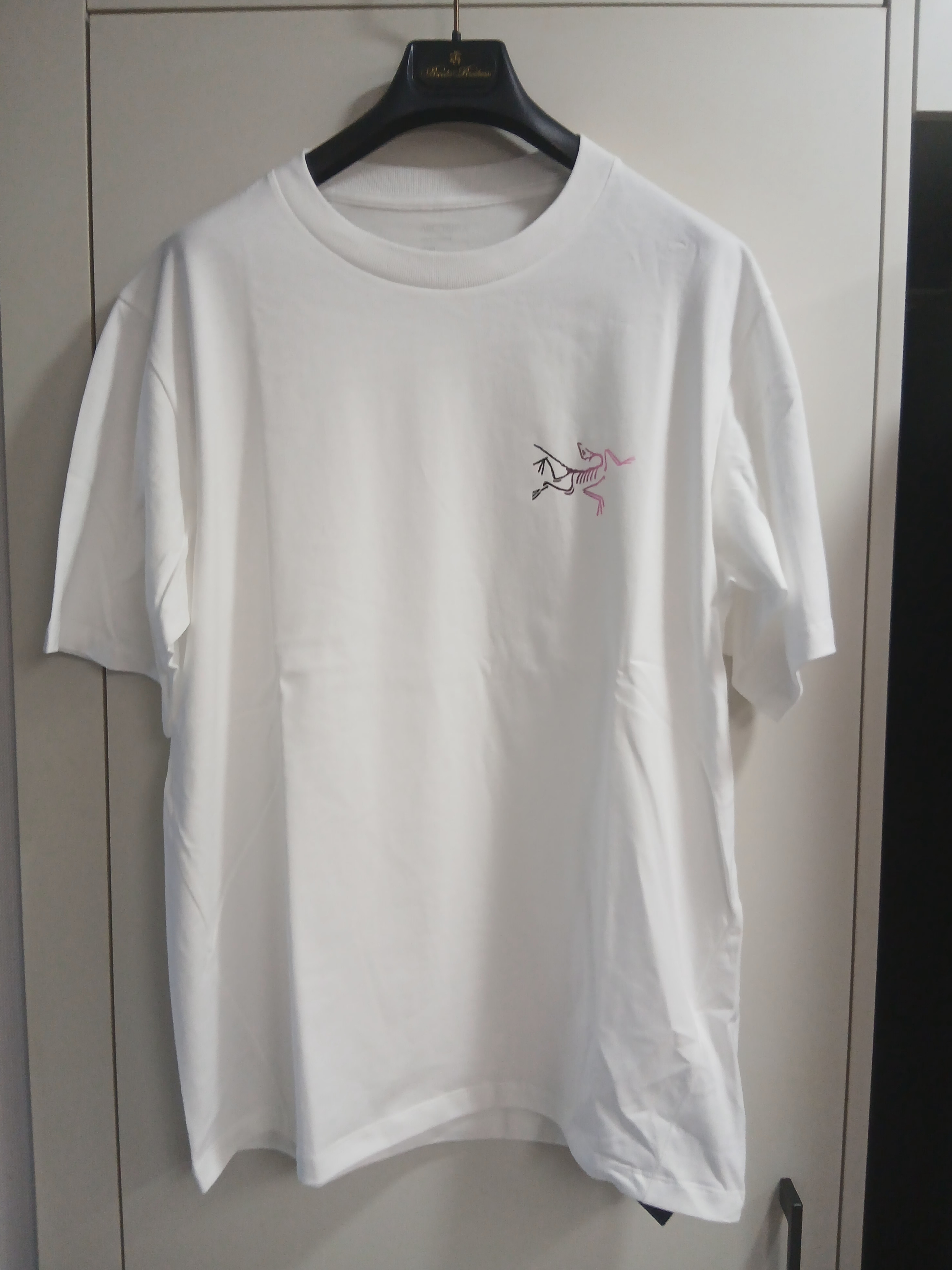 Arc'teryx Kragg Cotton Logo SS T-Shirt White Light Soul 착용 스타일 - 2