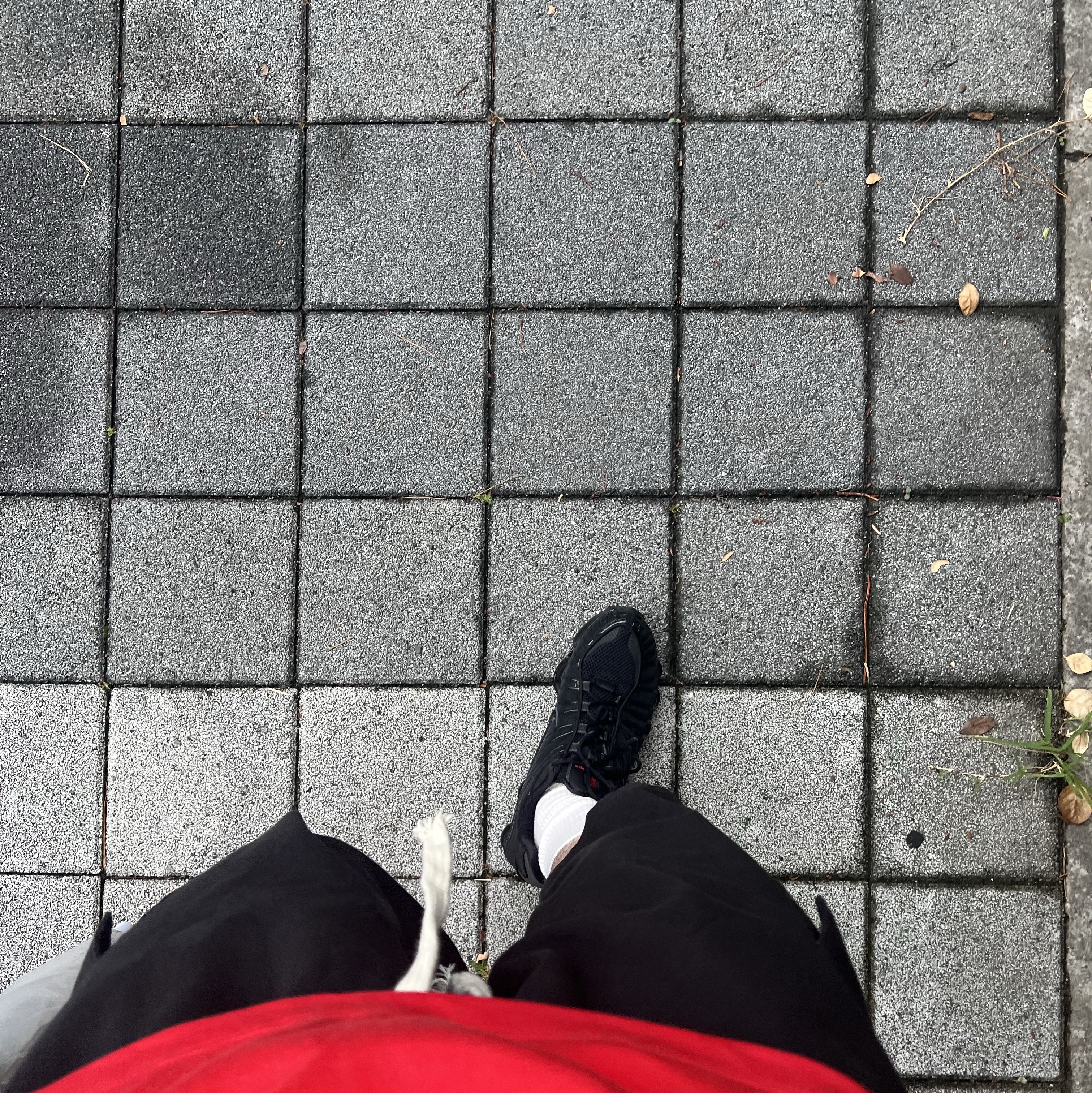 Polyteru Human Index index 1/2 Cargo Pants Black 착용 스타일