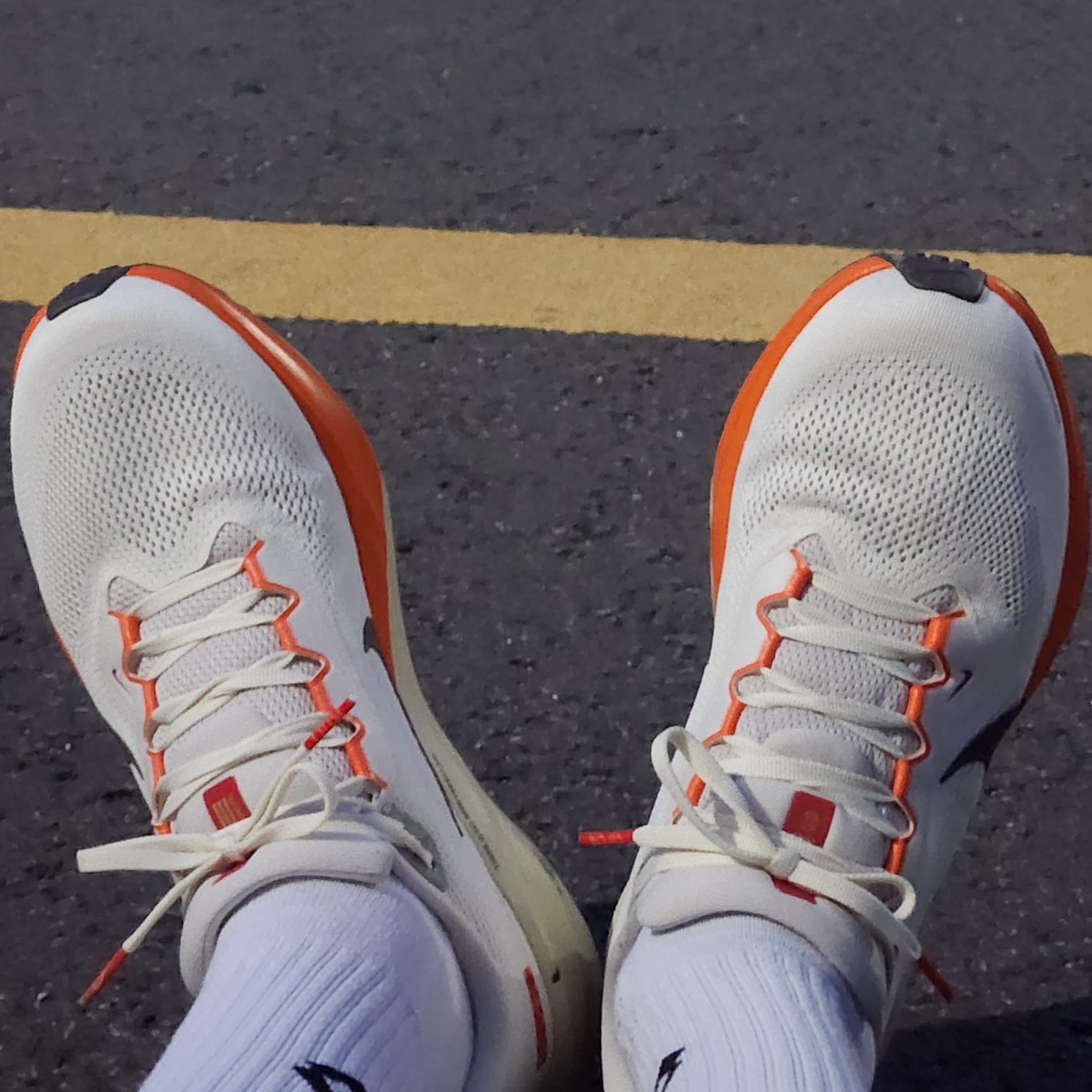 Nike Air Zoom Pegasus 41 Sail Light Khaki 착용 스타일 - 2