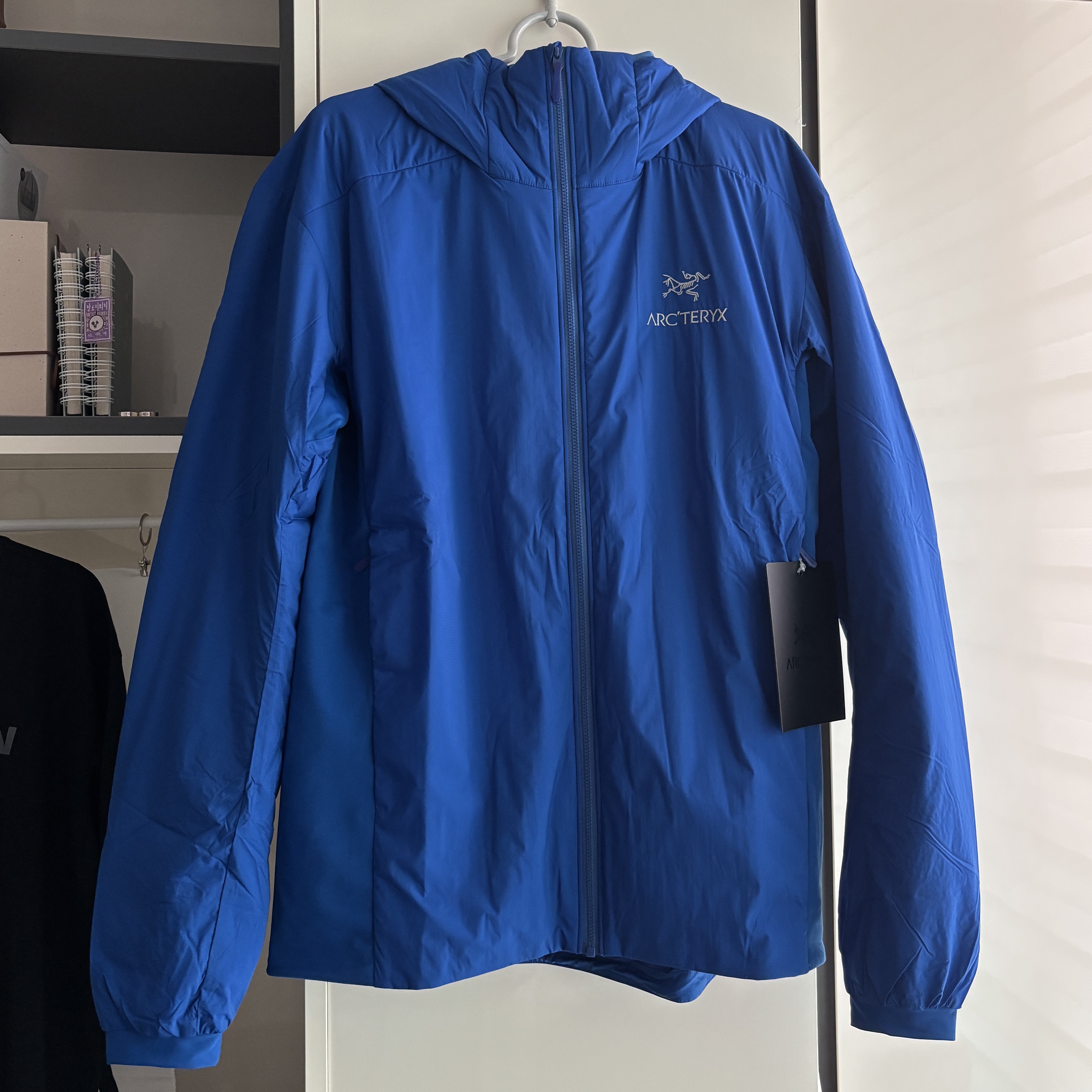 Arc'teryx Atom Hoody Vitality 착용 스타일