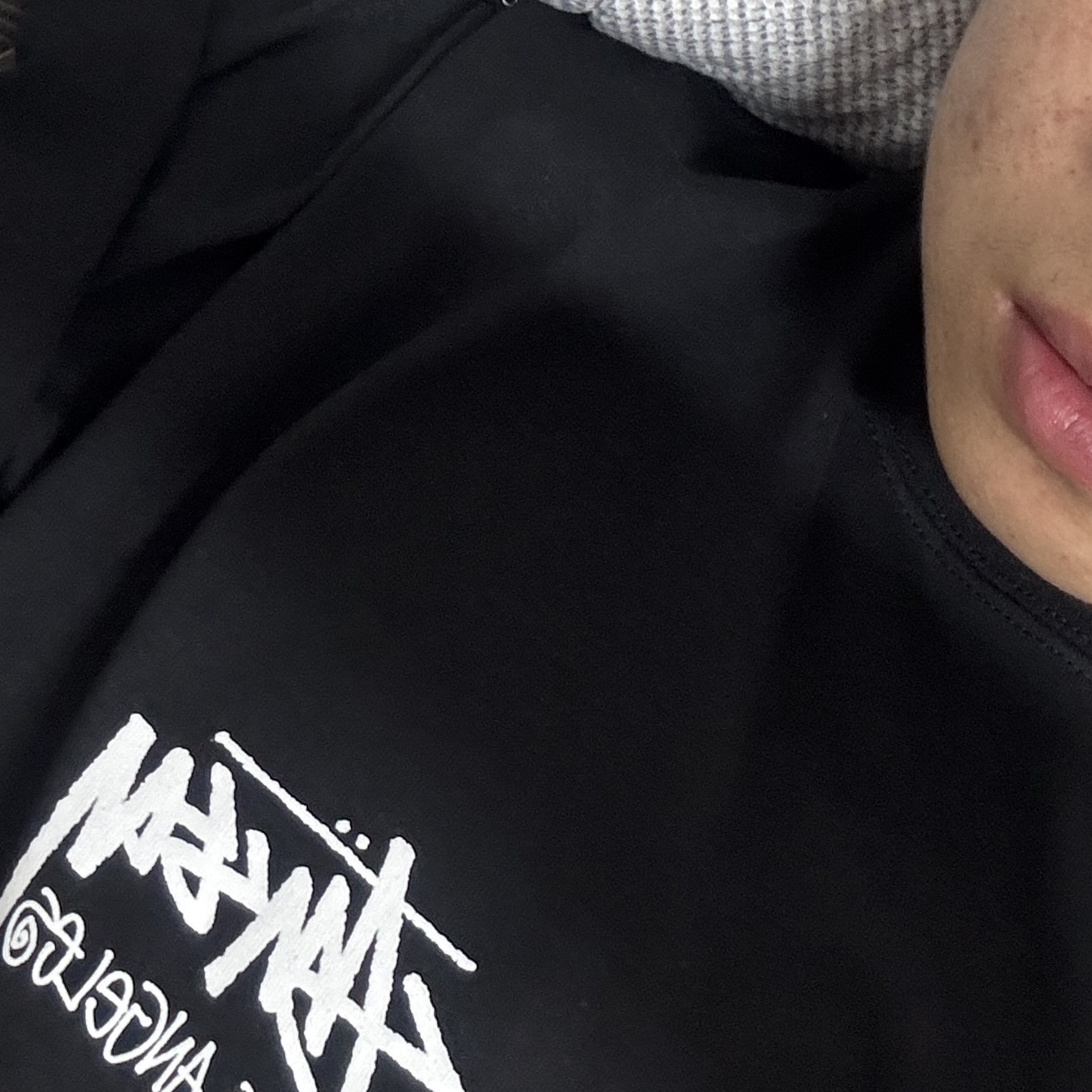 Stussy Stock Los Angeles T-Shirt Black 착용 스타일 - 6
