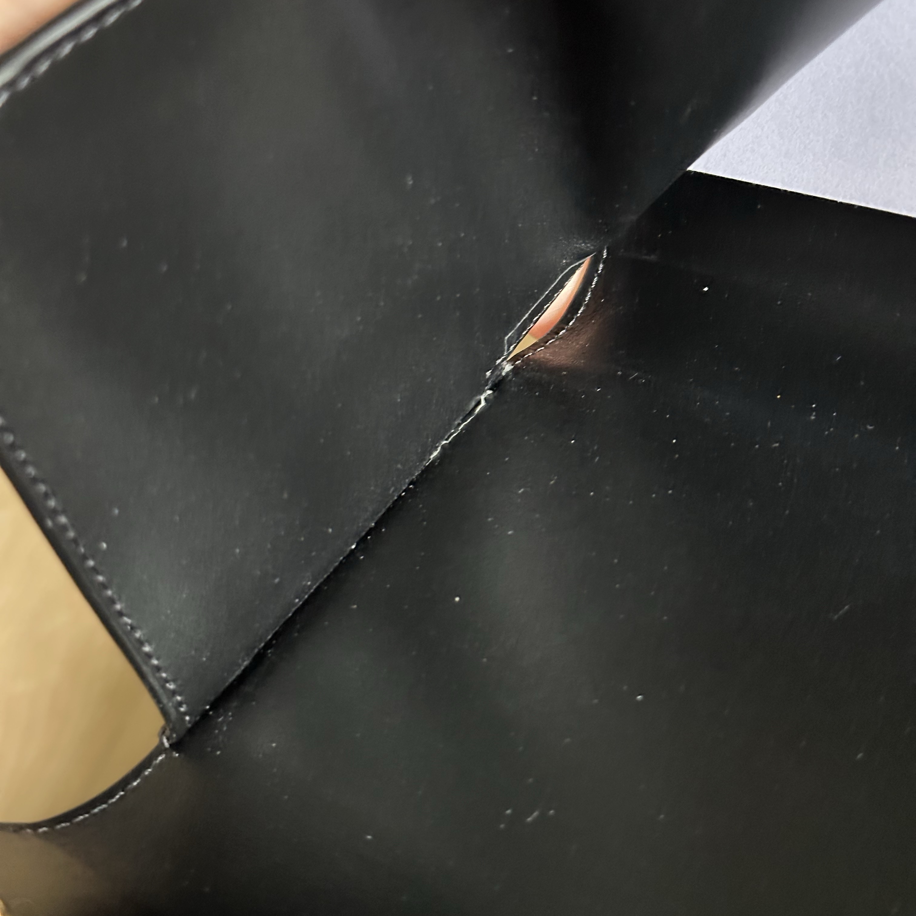Celine Small Wallet Triomphe in Shiny Calfskin Black 착용 스타일