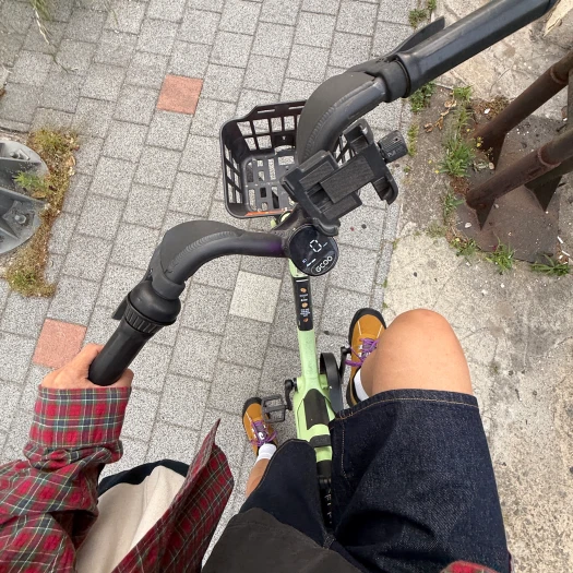 스타일 카드