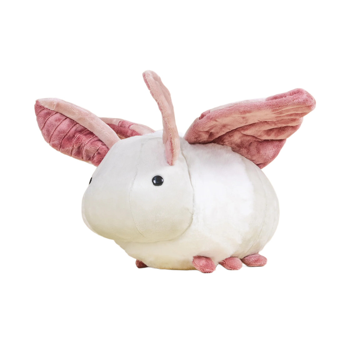 벨지 모시 더 모스 인형(Bellzi Mothi The Moth Doll)