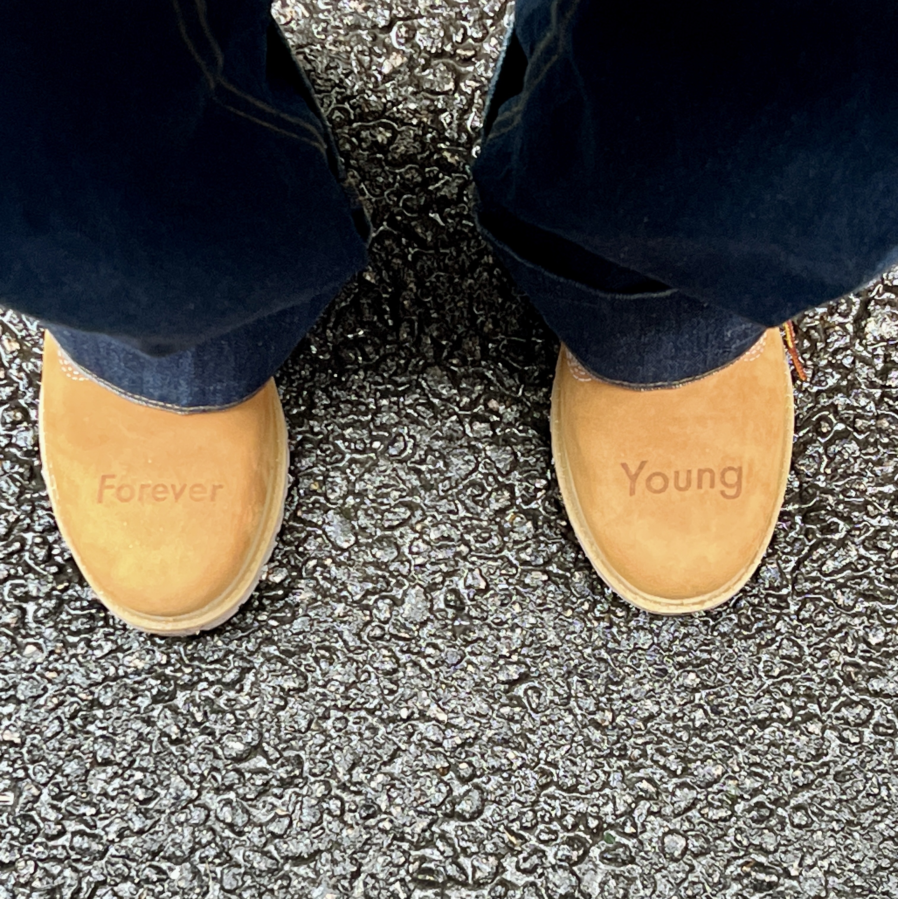 Timberland Premium 6 inch Waterproof Boot Wheat Nubuck - Wide 착용 스타일