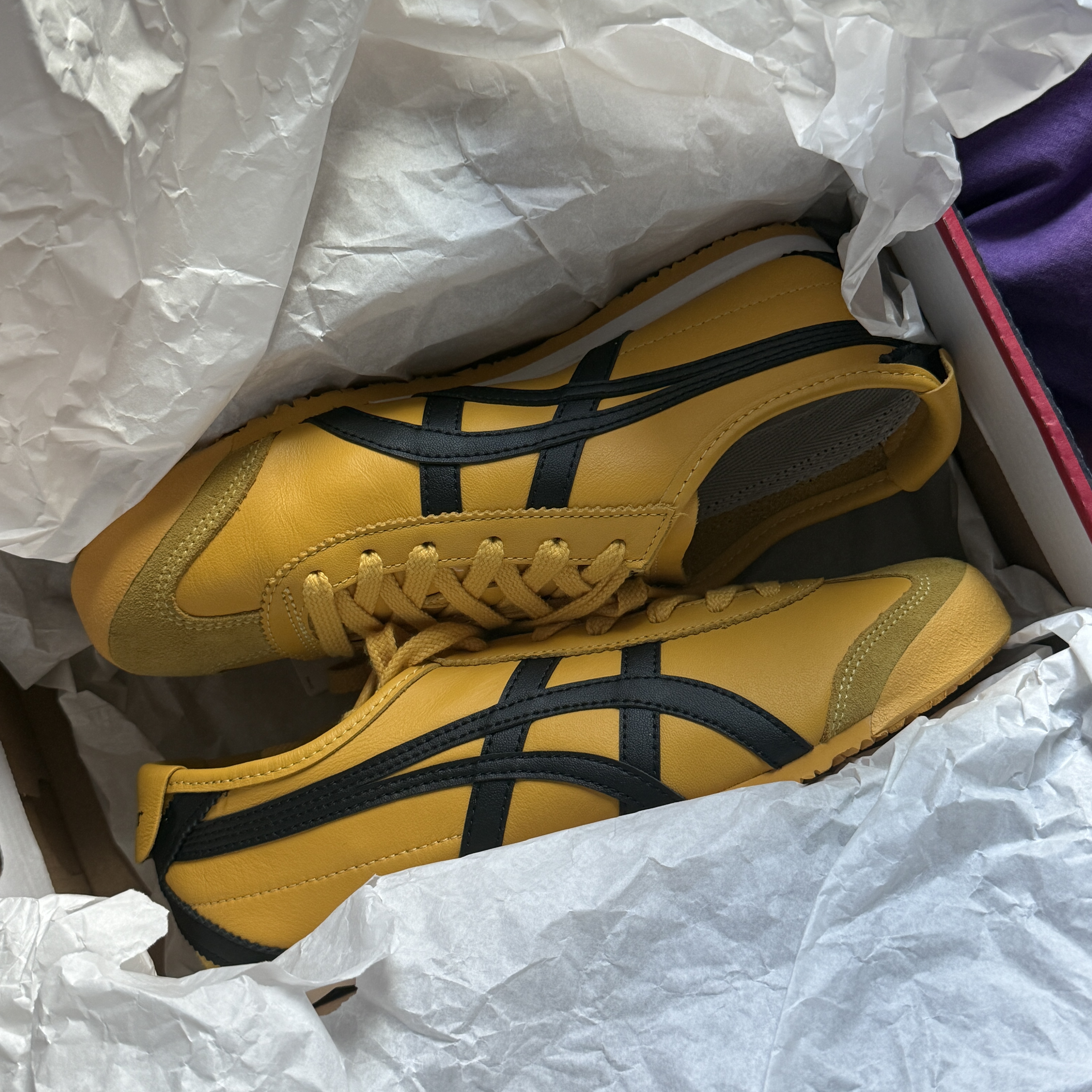 Onitsuka Tiger Mexico 66 Yellow Black 착용 스타일 - 2