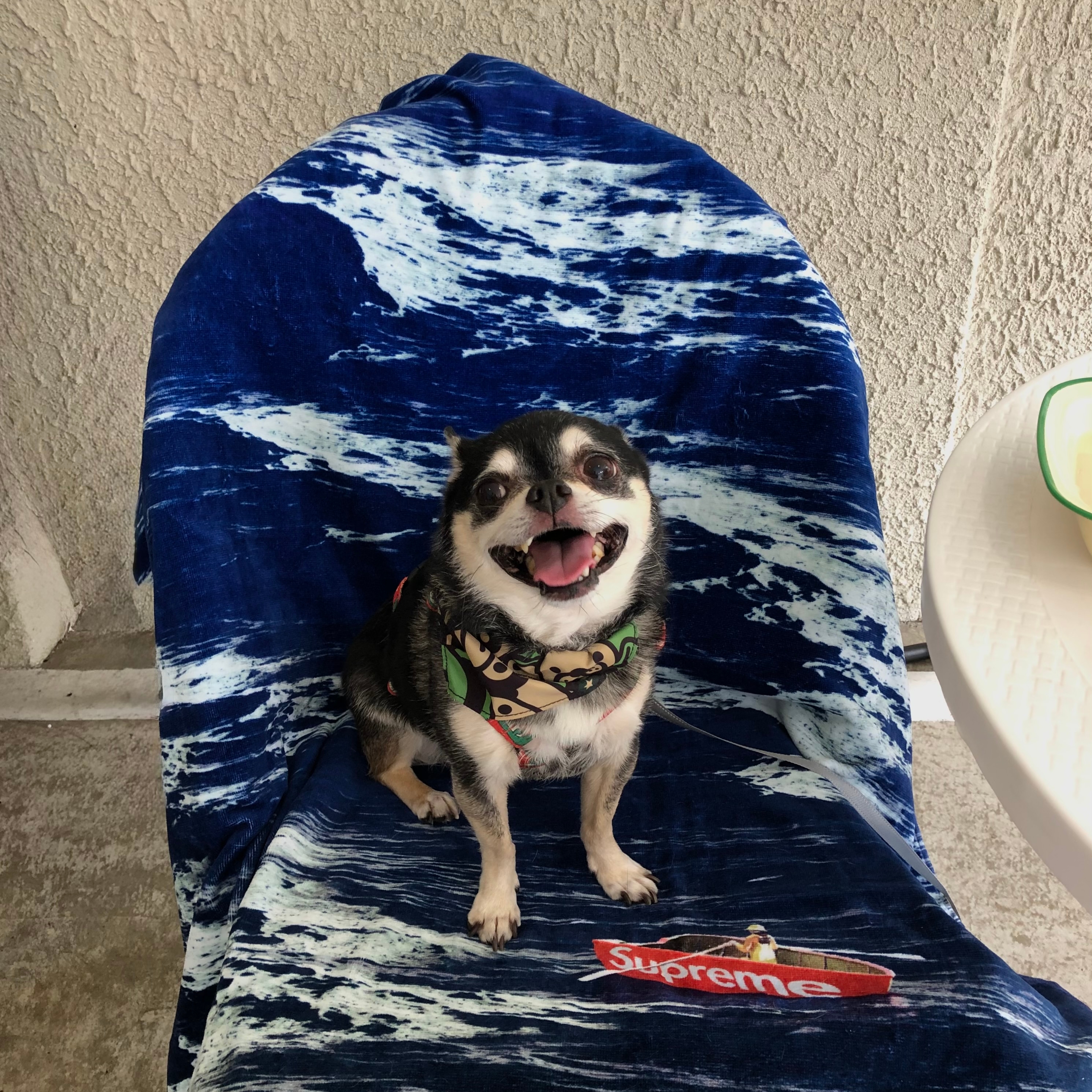 Supreme Boat Towel Multicolor - 25SS 착용 스타일
