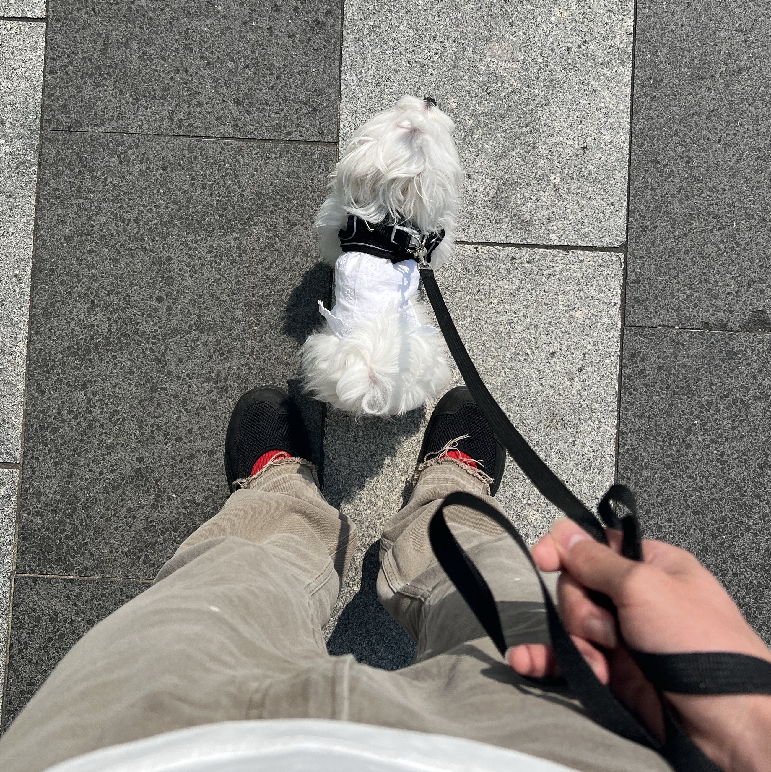 Salomon RX Marie Jeanne Black 착용 스타일