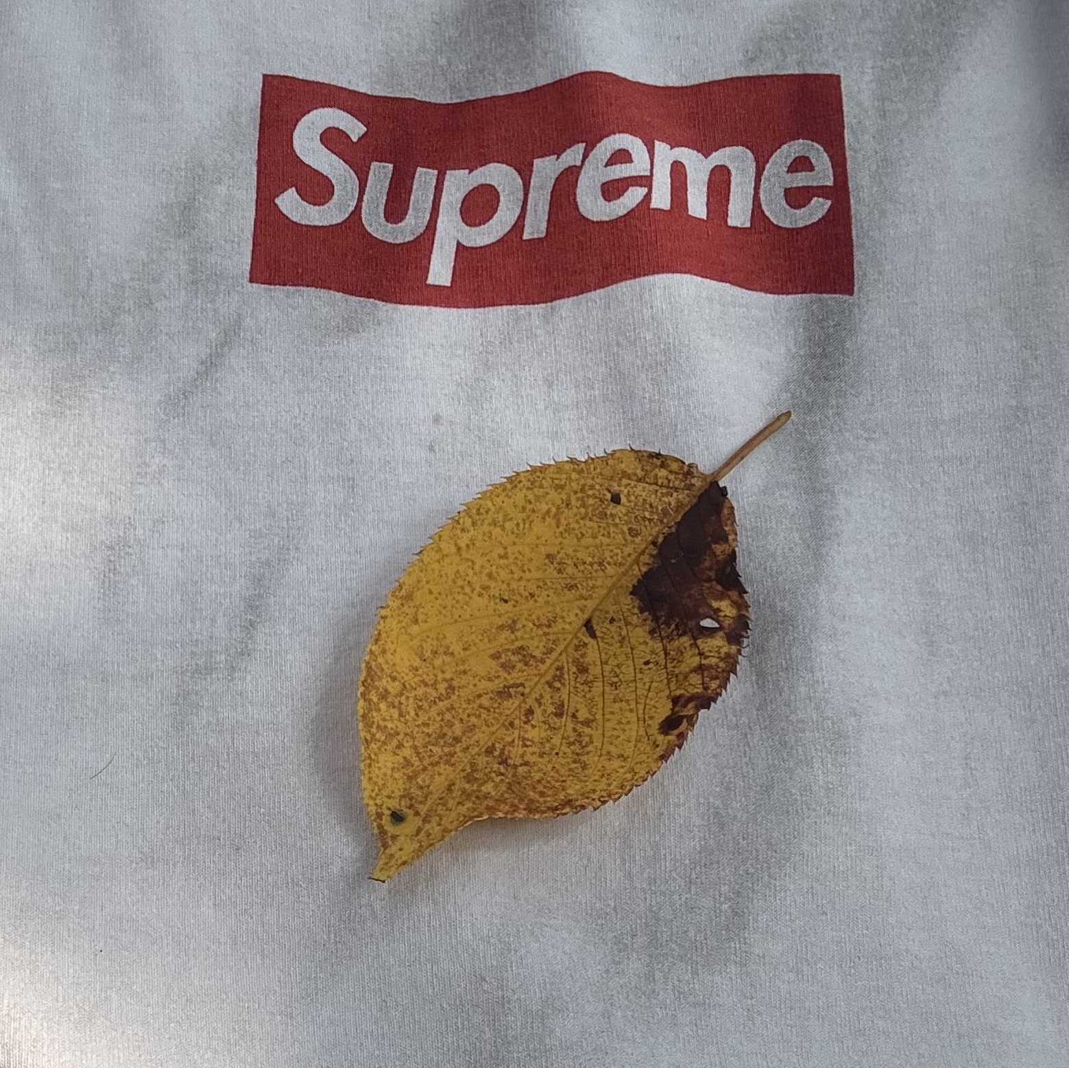 Supreme x MM6 Maison Margiela Box Logo T-Shirt White - 24SS 착용 스타일