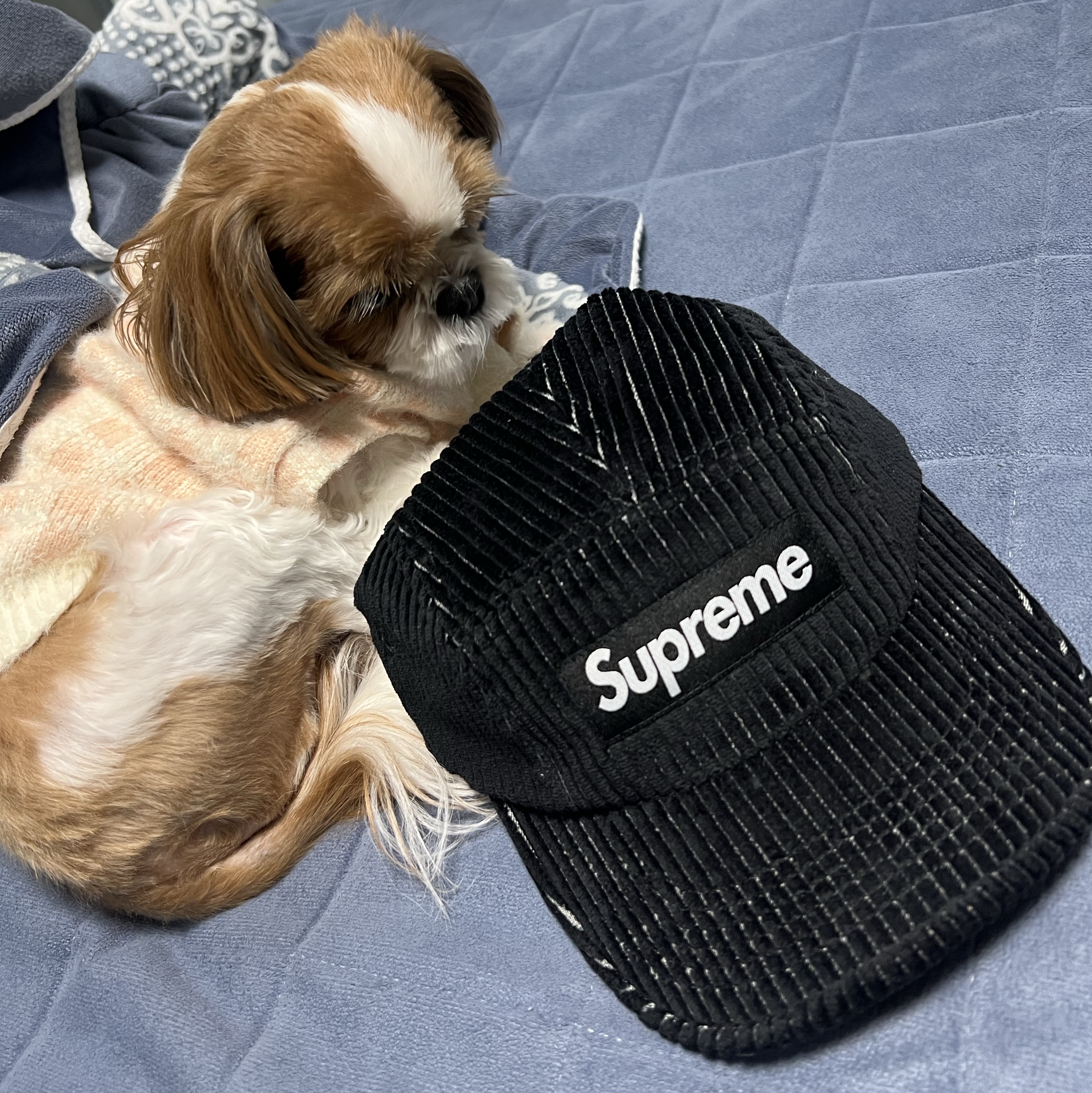 Supreme 2-Tone Corduroy Camp Cap Black - 23SS 착용 스타일