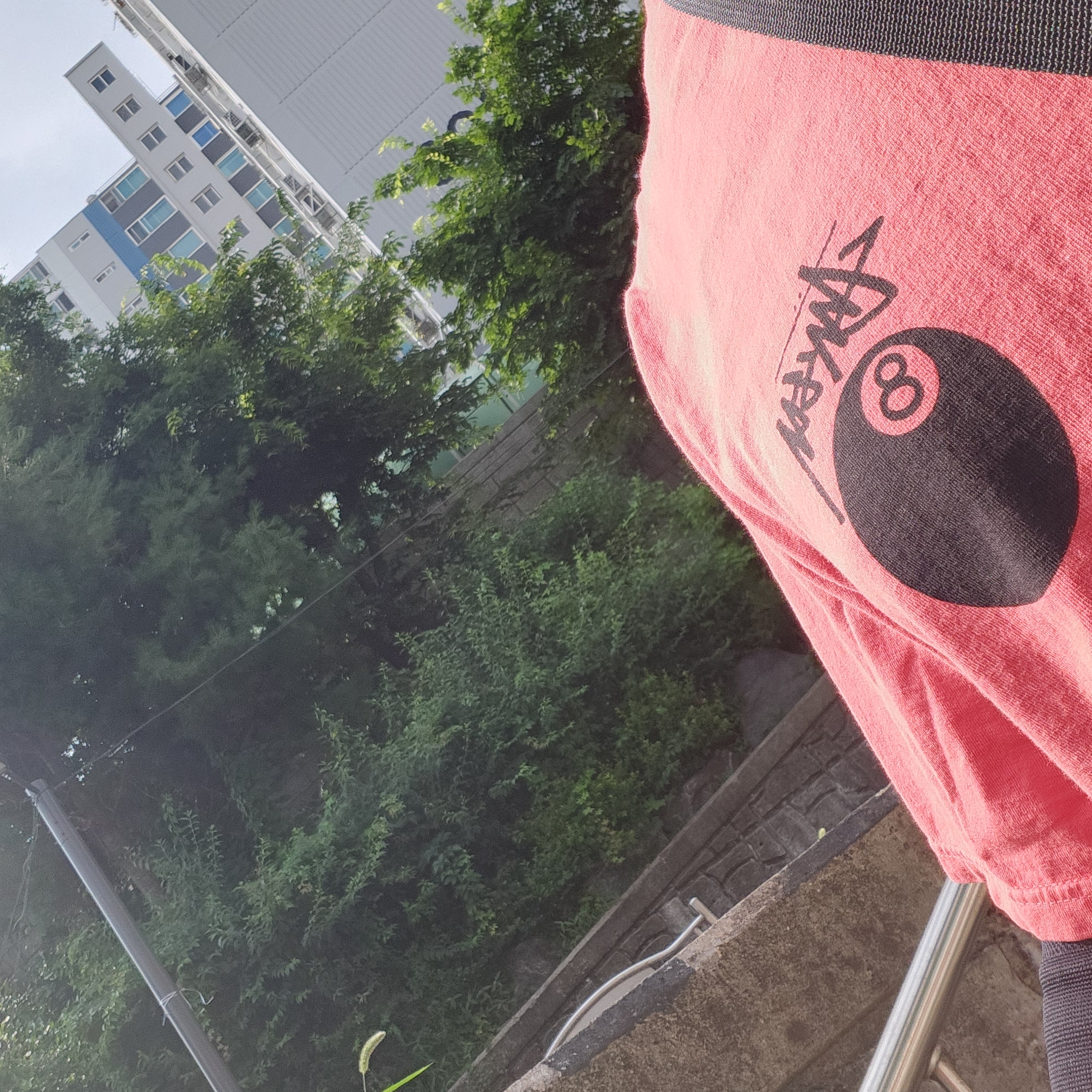 Stussy 8 Ball Pigment Dyed T-Shirt Guava 착용 스타일