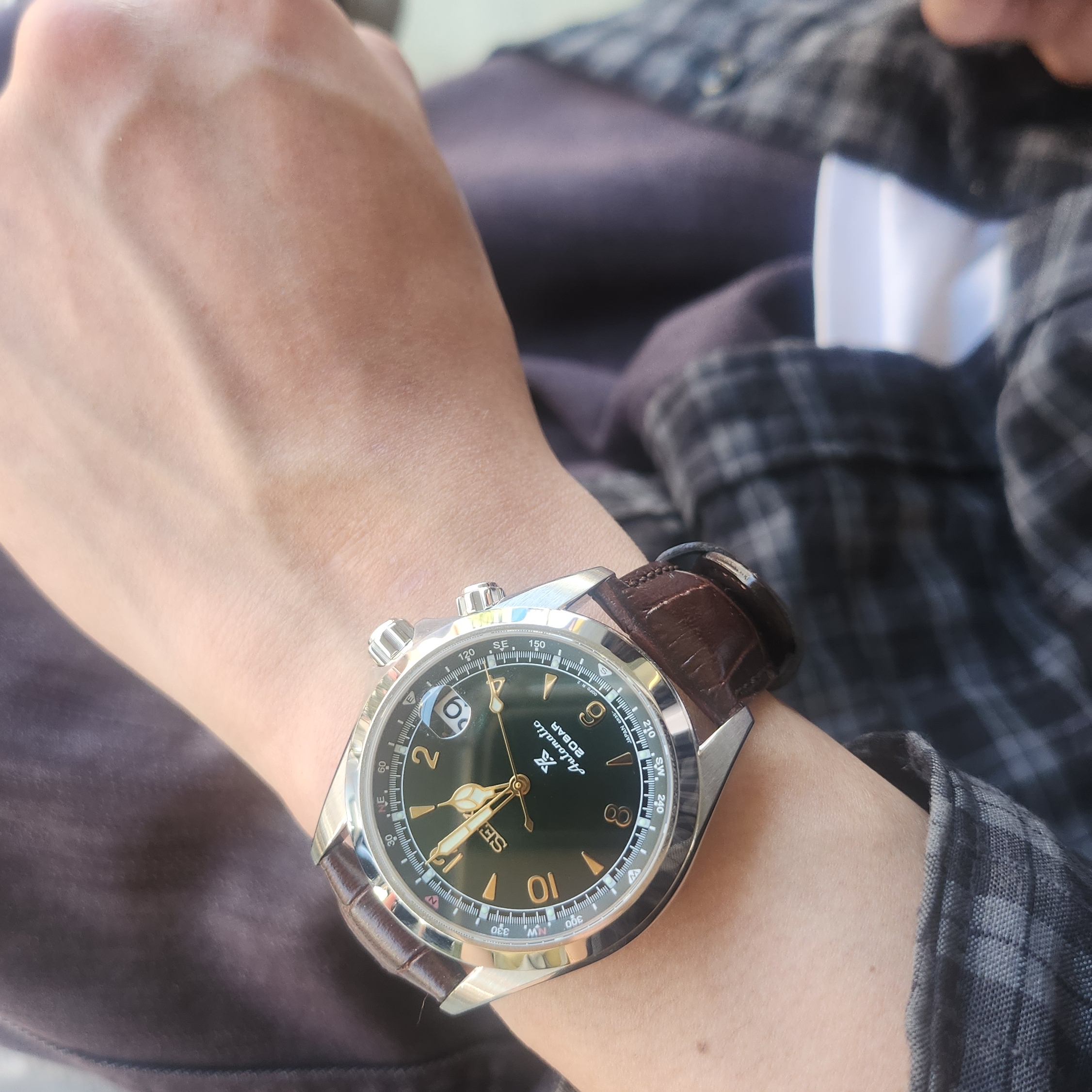 Seiko Prospex Alpinist SPB121J1/SBDC091 Brown Green 착용 스타일