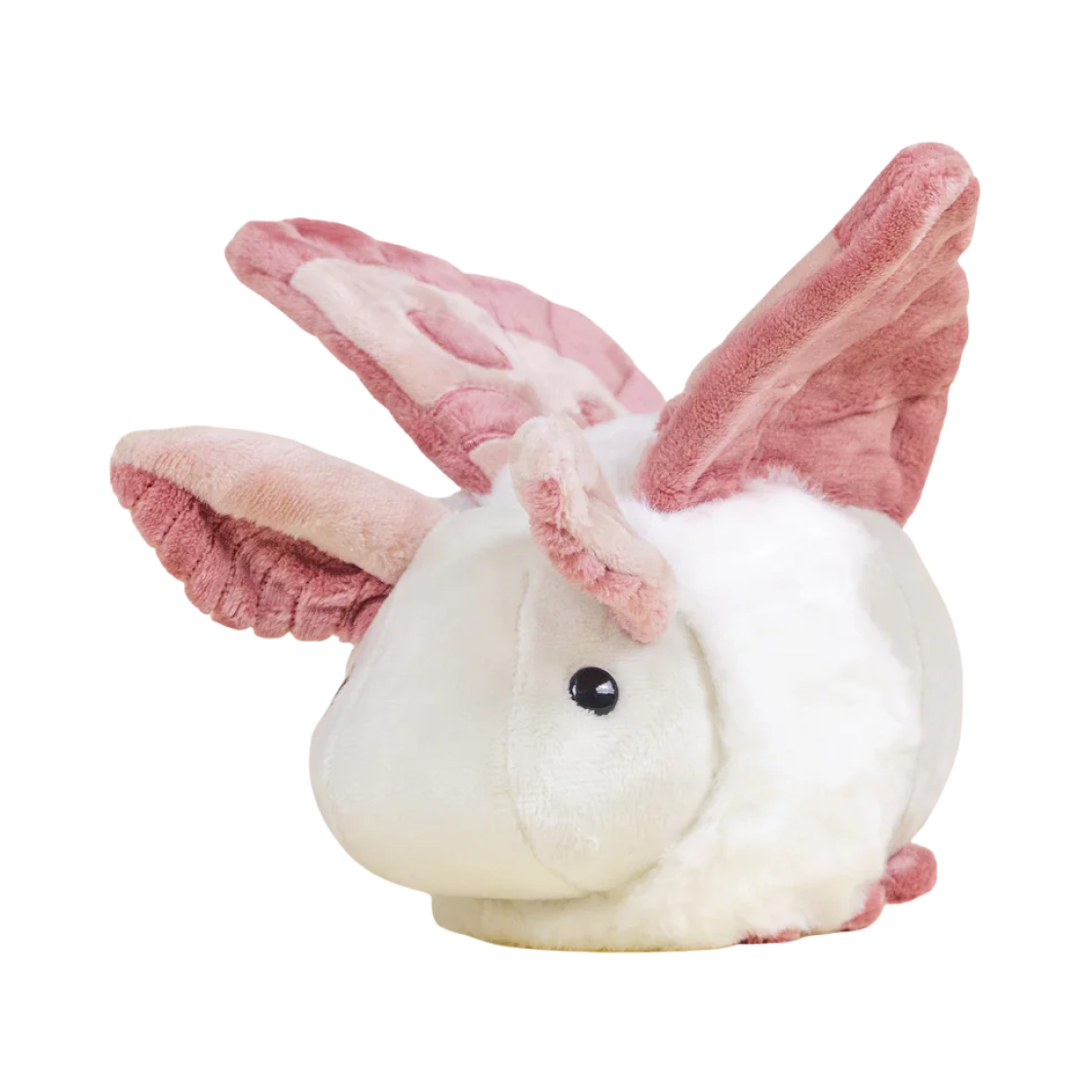 벨지 미니 모시 더 모스 인형(Bellzi Mini Mothi The Moth Doll)