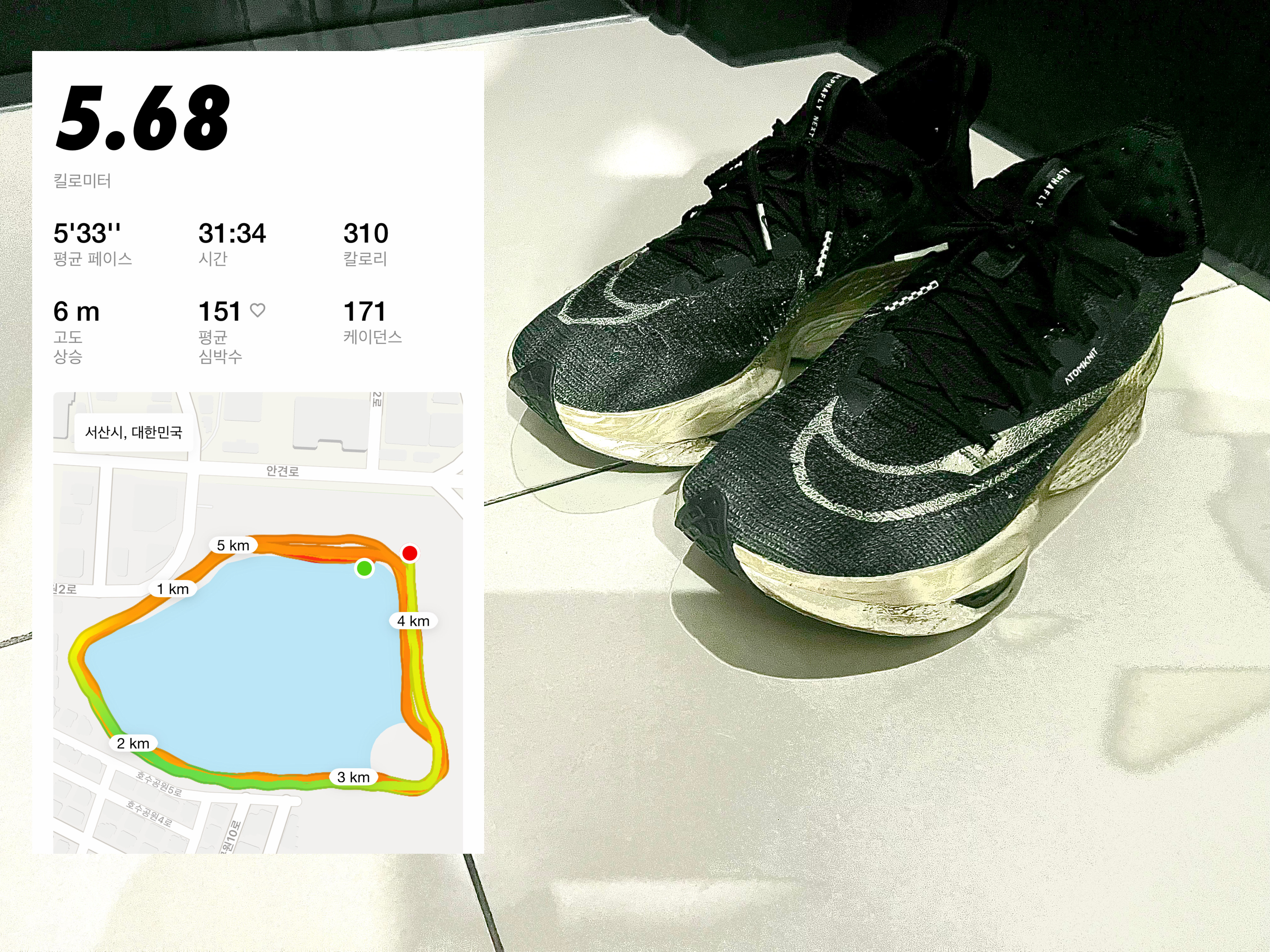 Nike Air Zoom Alphafly Next% 2 Black Metallic Gold Grain 착용 스타일