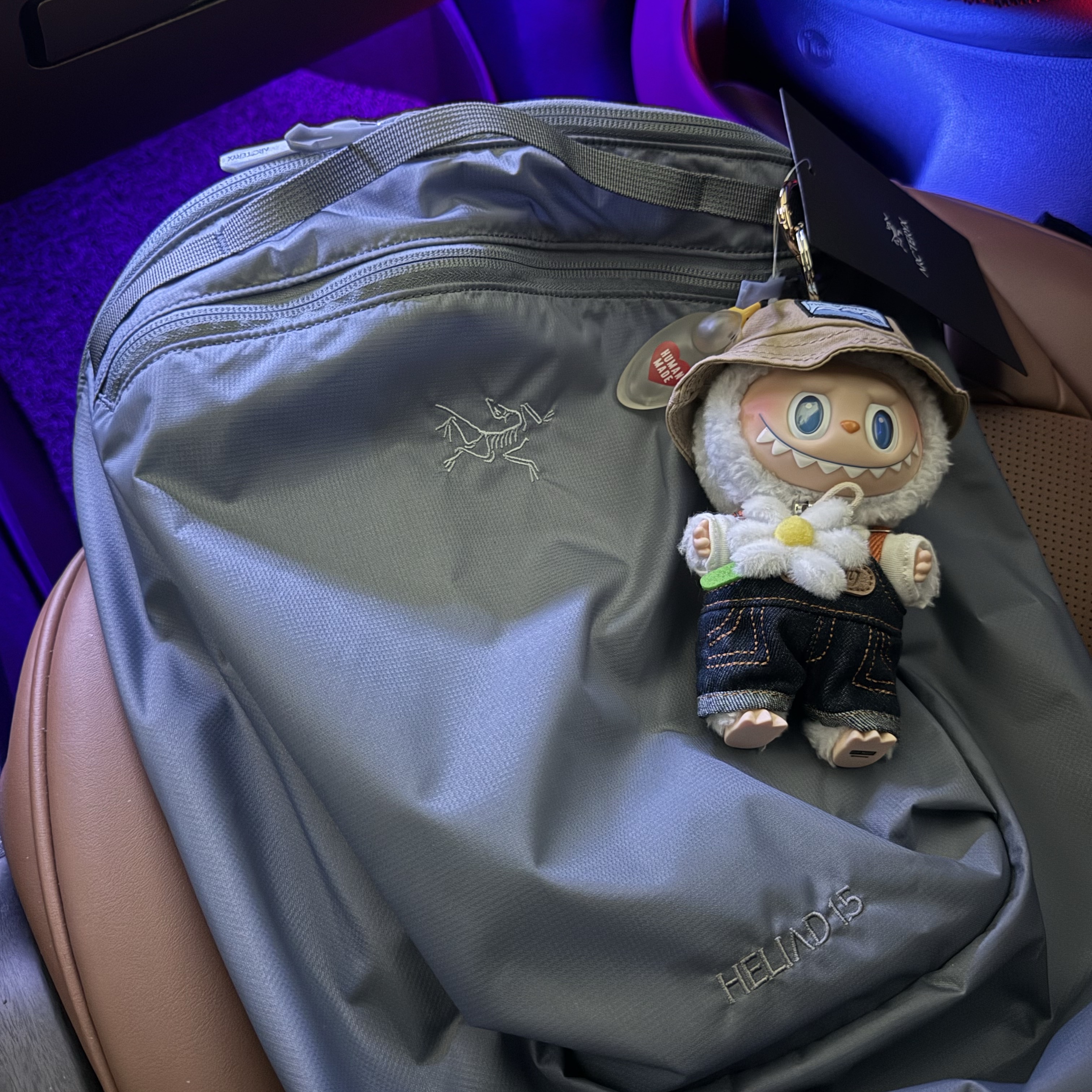 Arc'teryx Heliad 15 Backpack Stratus, Pop Mart Fall In Wild Labubu Series Toy Keyring 착용 스타일