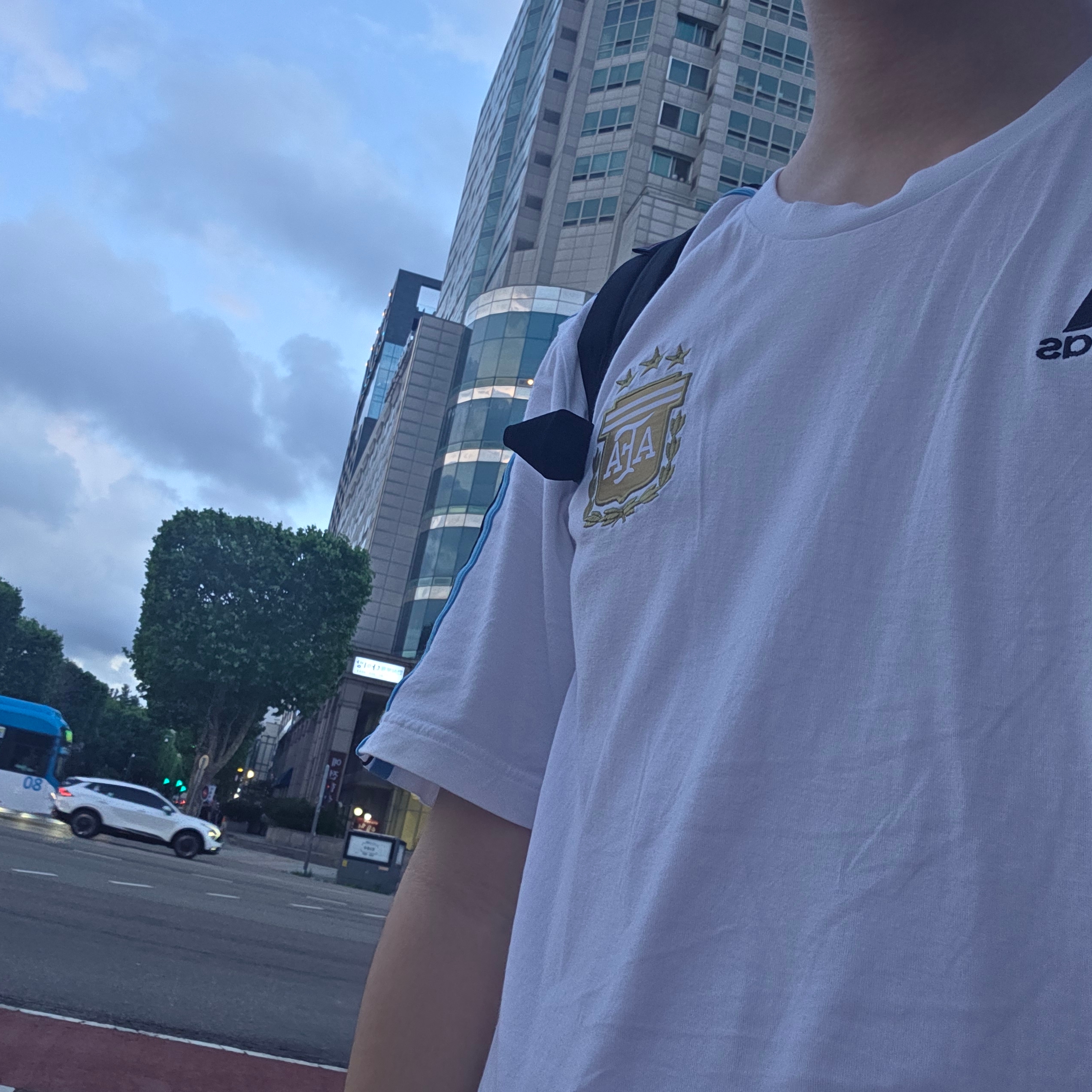 Adidas Argentina DNA 3-Stripe T-Shirt White - KR Sizing 착용 스타일
