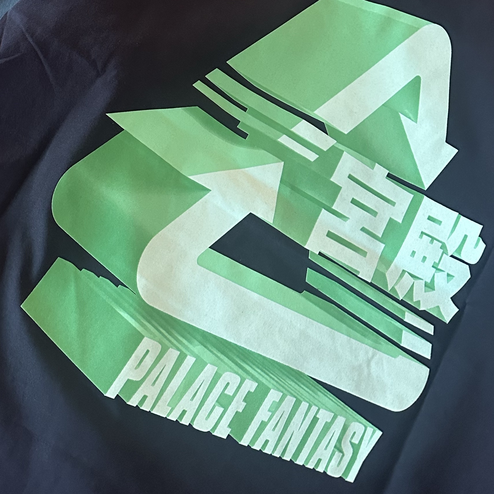 Palace x Sci-Fi Fantasy Tri T-Shirt Black - 25SS 착용 스타일