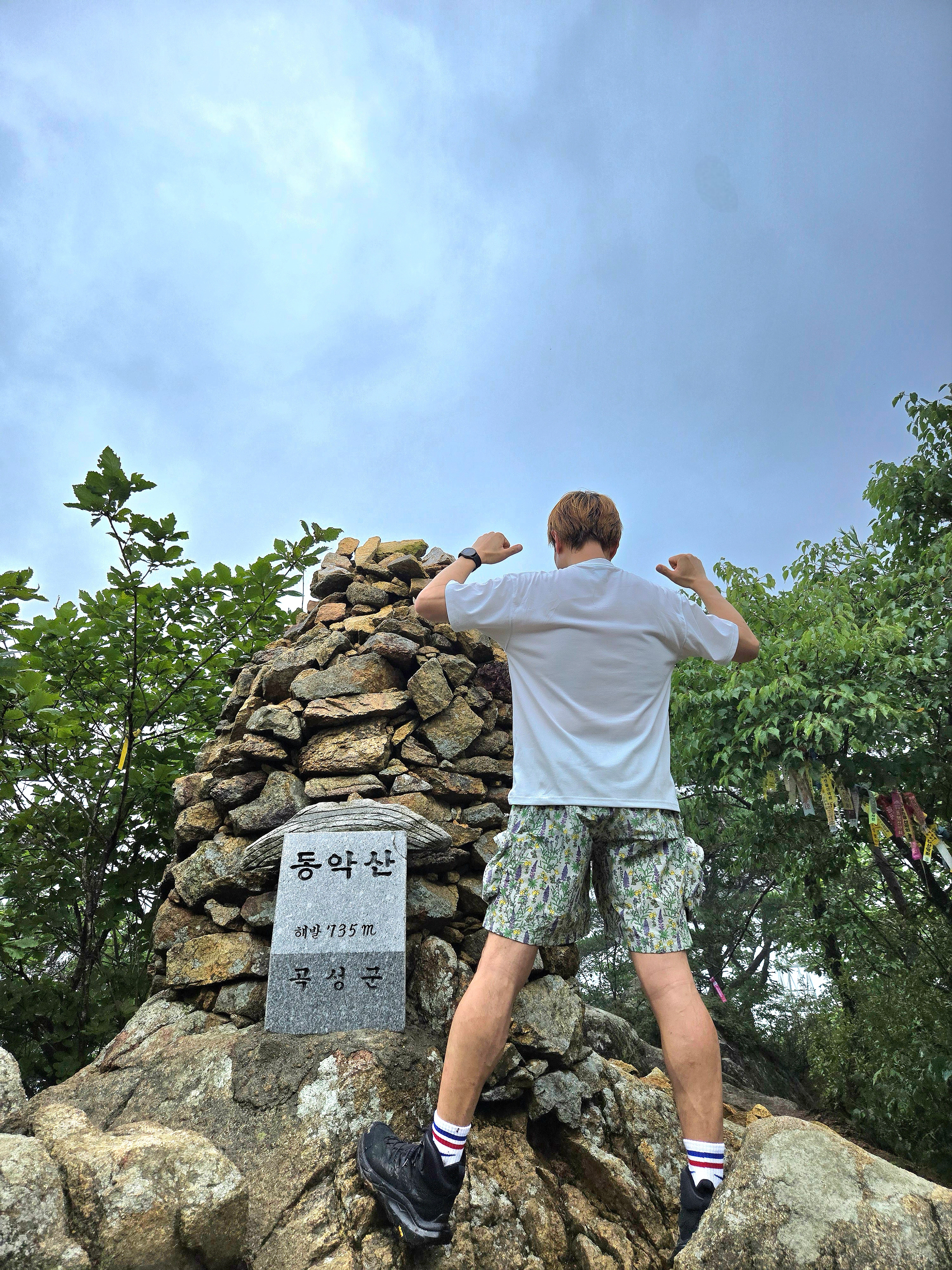 Nike ACG Snowgrass Allover Print Cargo Shorts Light Bone - Asia 착용 스타일