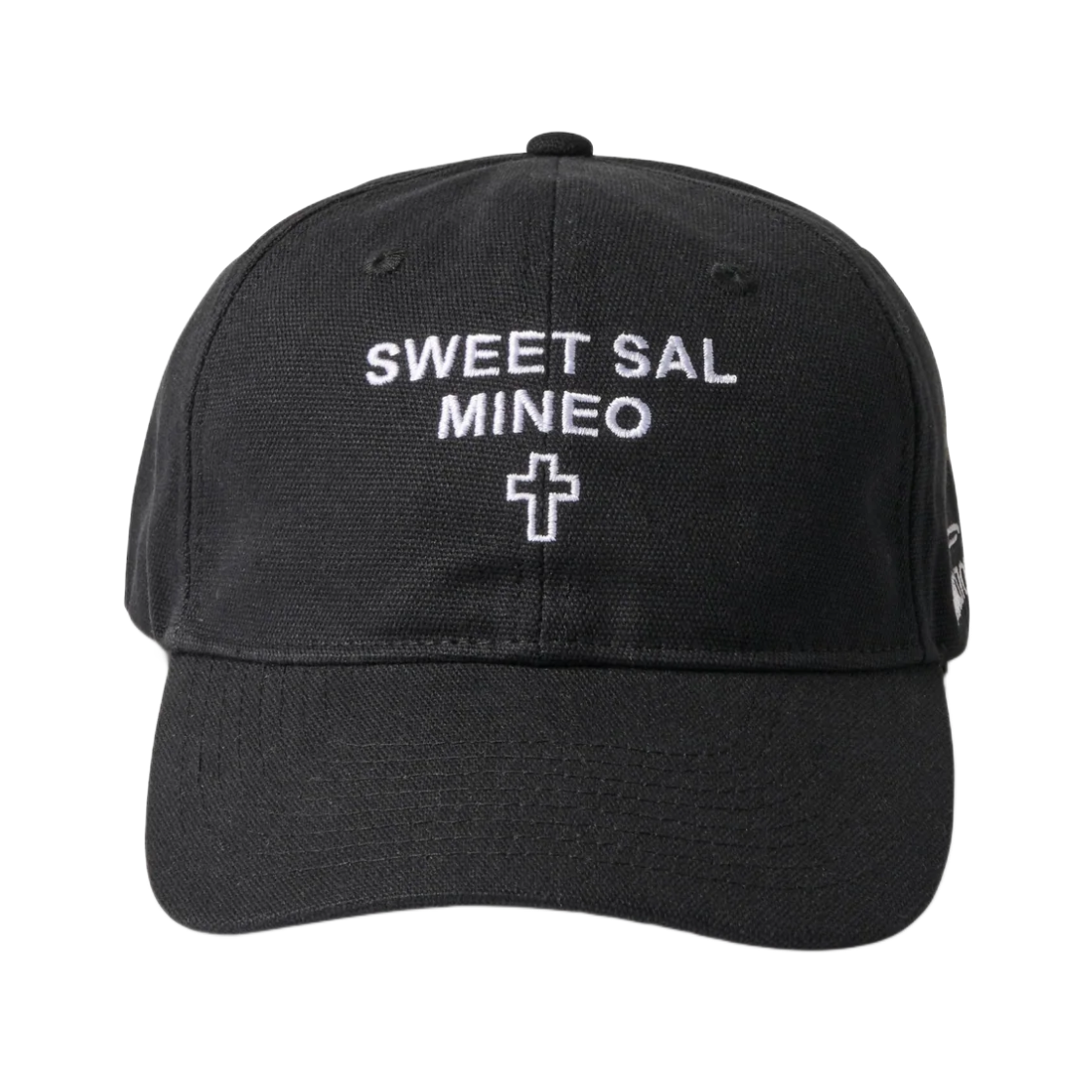 팔리 할리우드 스위트 살 6 패널 햇 블랙(Paly Hollywood Sweet Sal 6 Panel Hat Black)