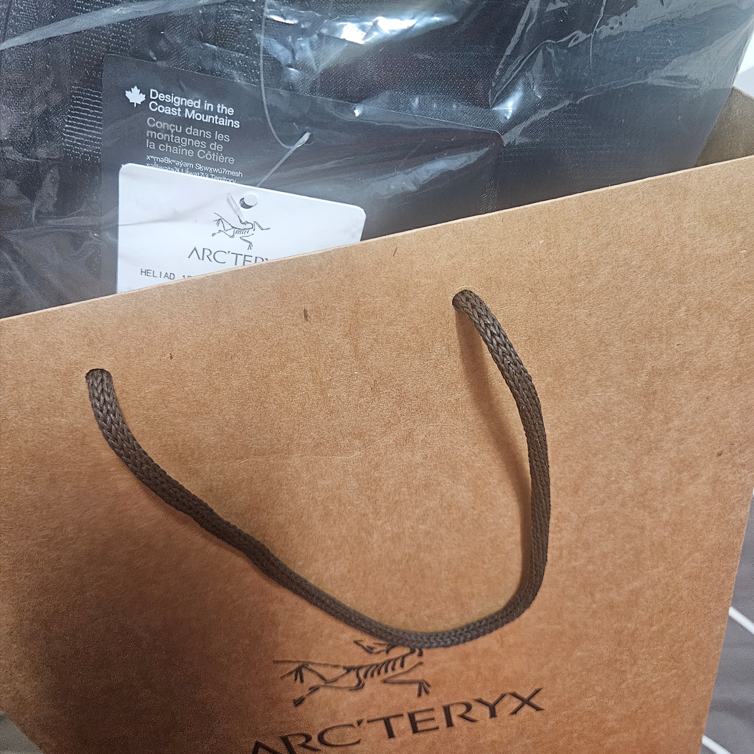 Arc'teryx Heliad 15 Backpack Black 착용 스타일