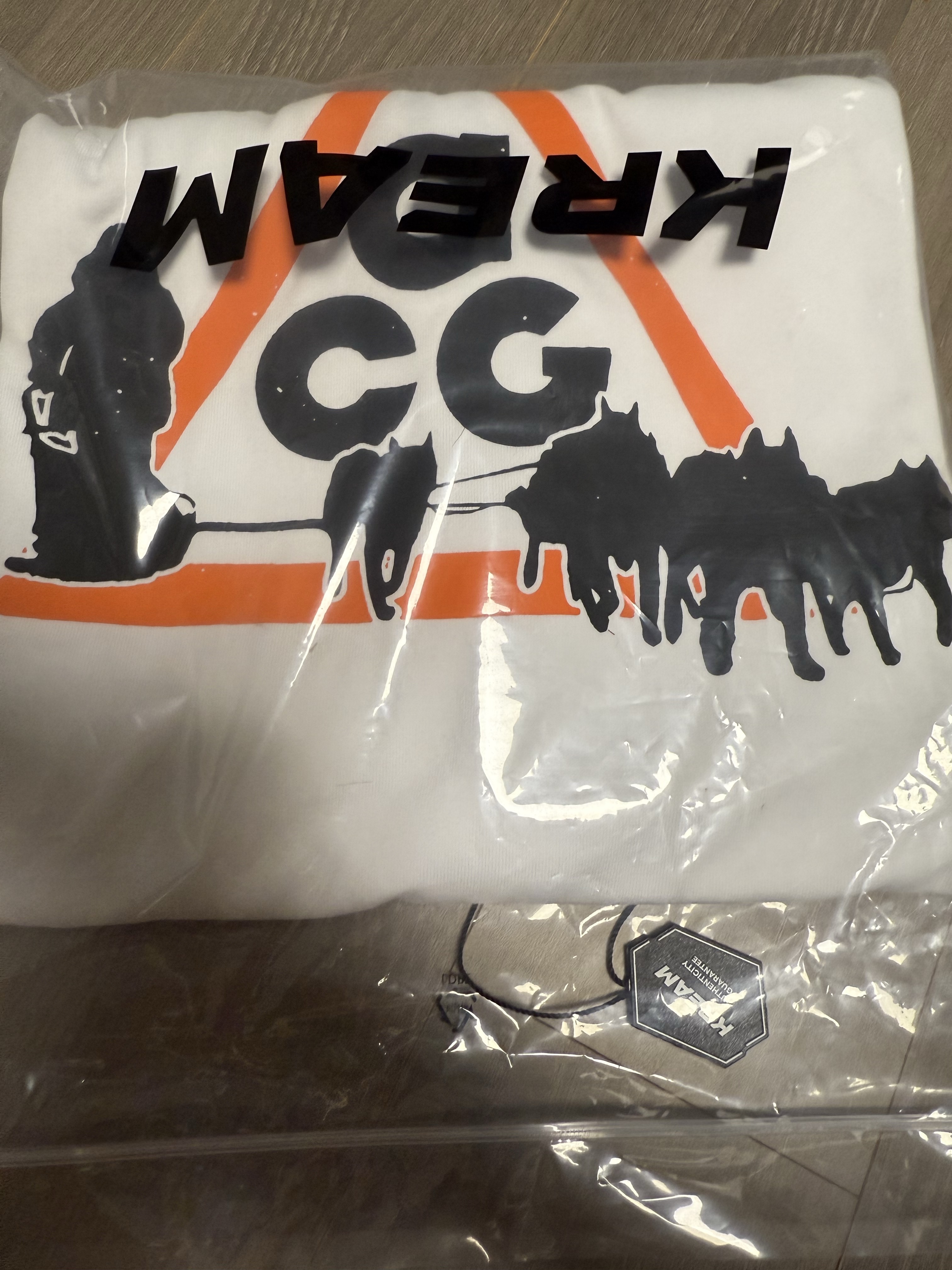 Nike ACG Dri-Fit Dog Sled T-Shirt Summit White - Asia 착용 스타일