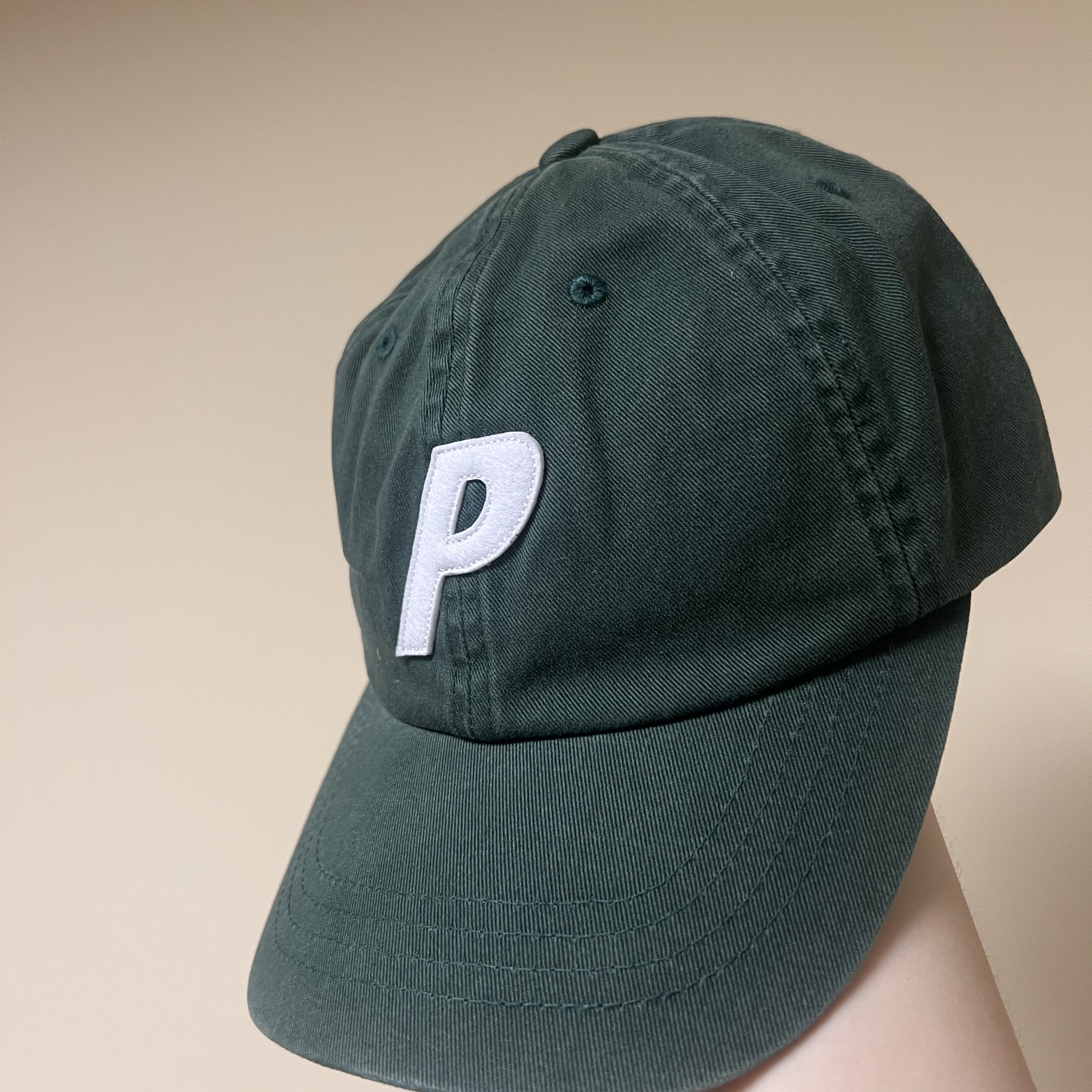 Palace P 6-Panel Pine - 25SS 착용 스타일 - 1