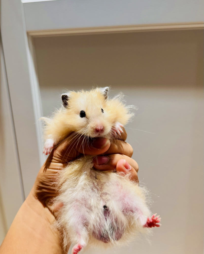 관심 유저 프로필 이미지