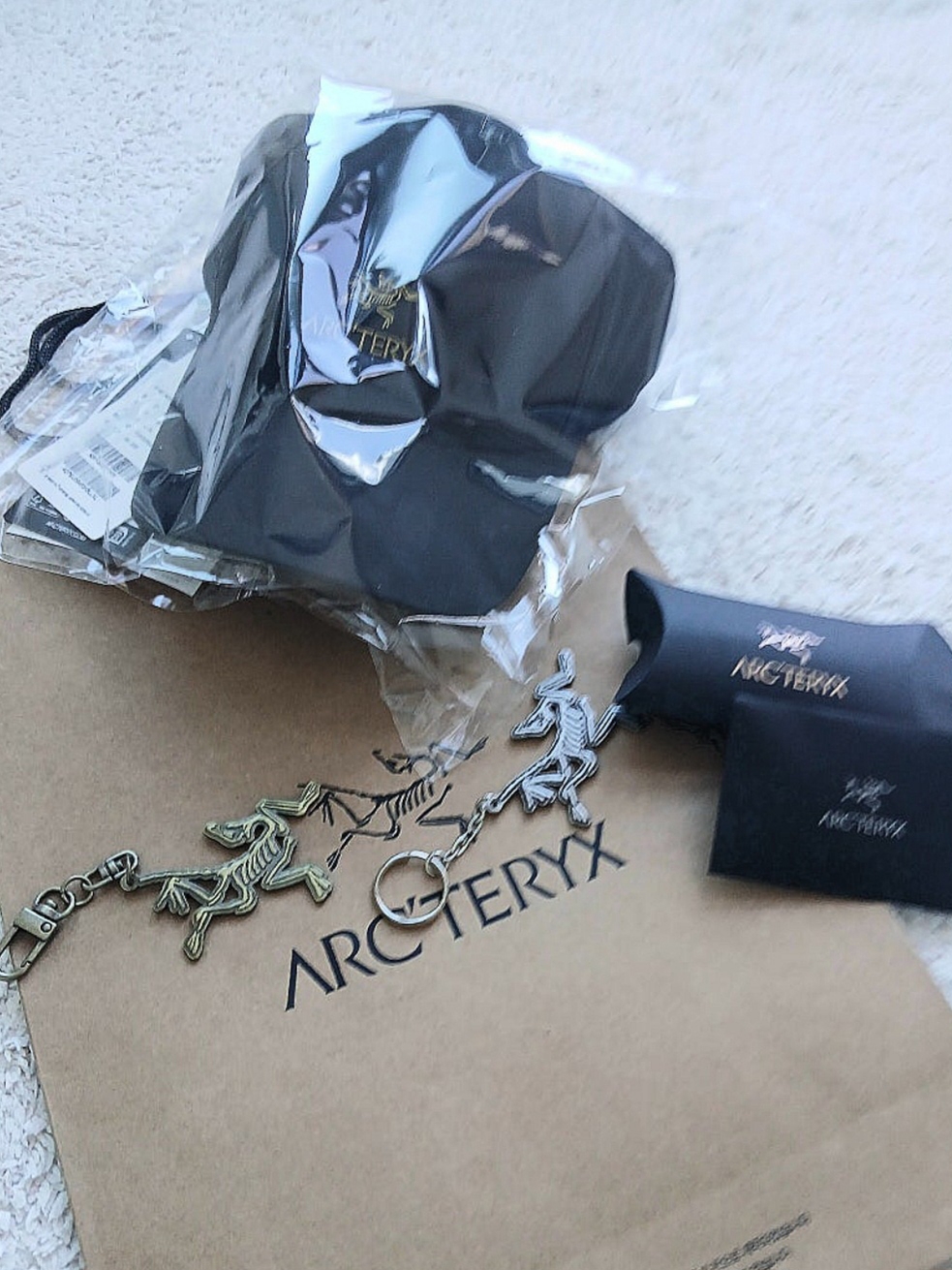 Arc'teryx Bird Word Cap 24K Black, Arc'teryx Keyring Metal 착용 스타일 - 1
