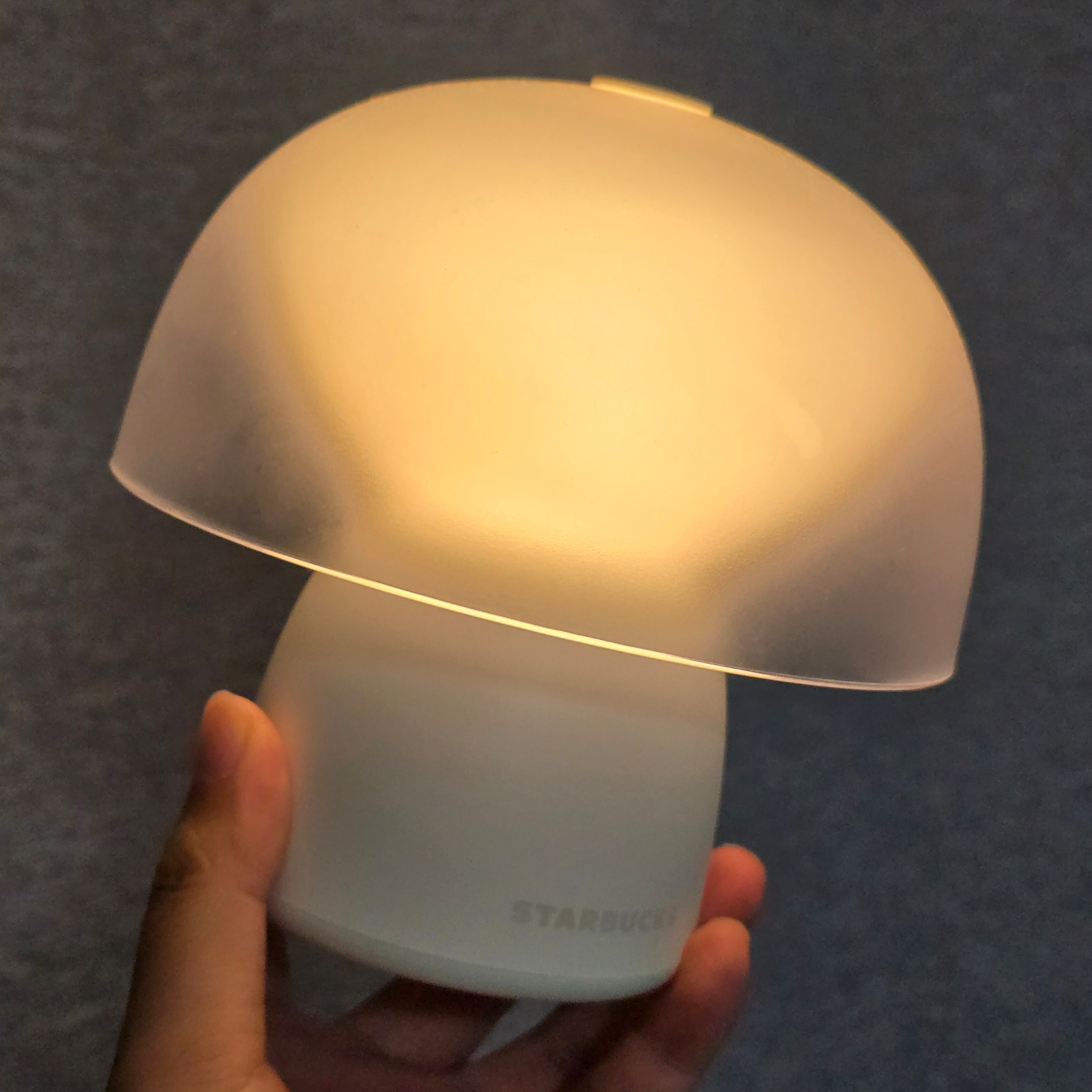 Starbucks x Bonakia Portable Lamp T White 착용 스타일