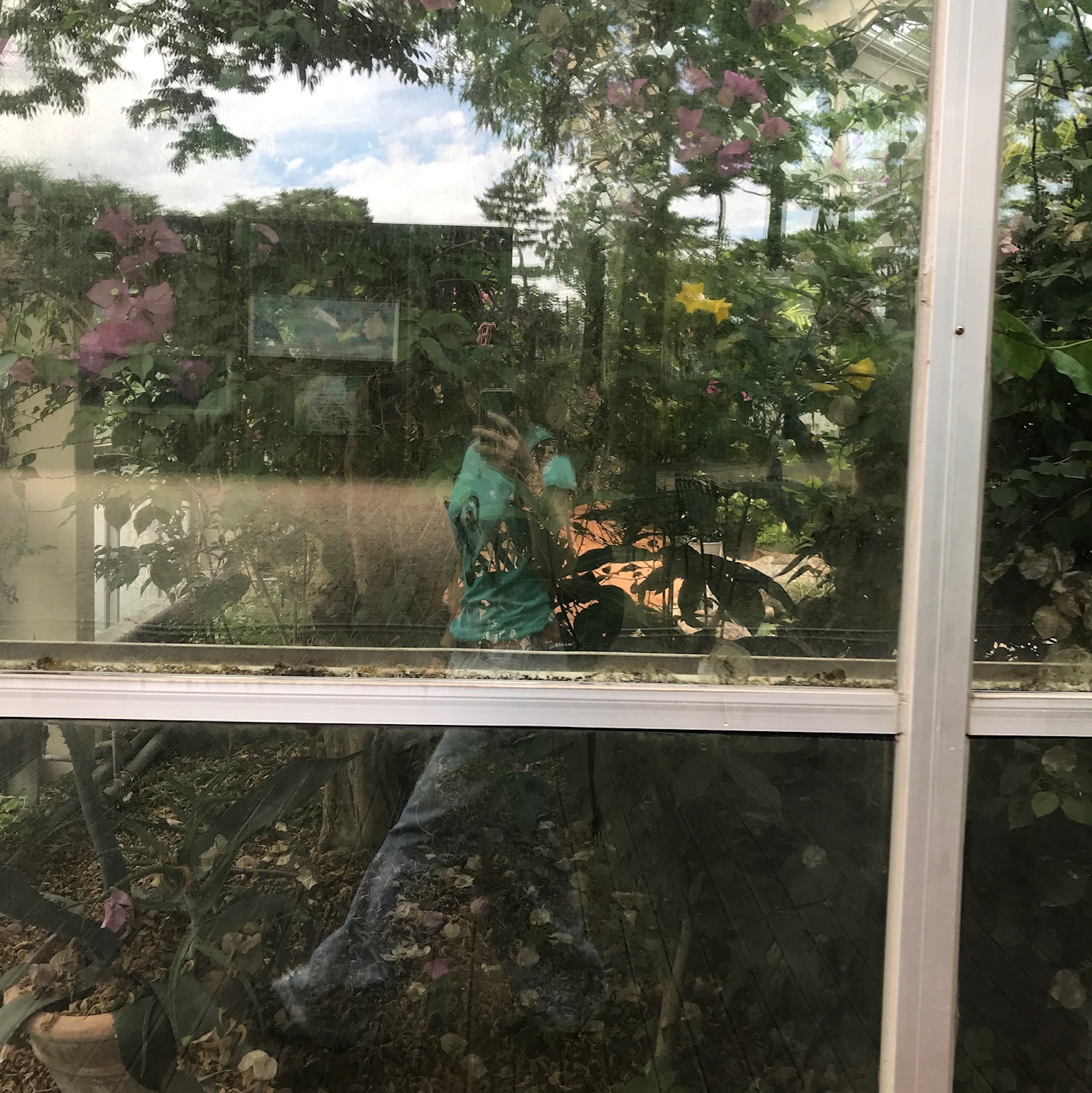 Salomon Trailblazer 10 Black, New Era MLB 59Fifty Authentic Boston Red Sox Game Navy 착용 스타일