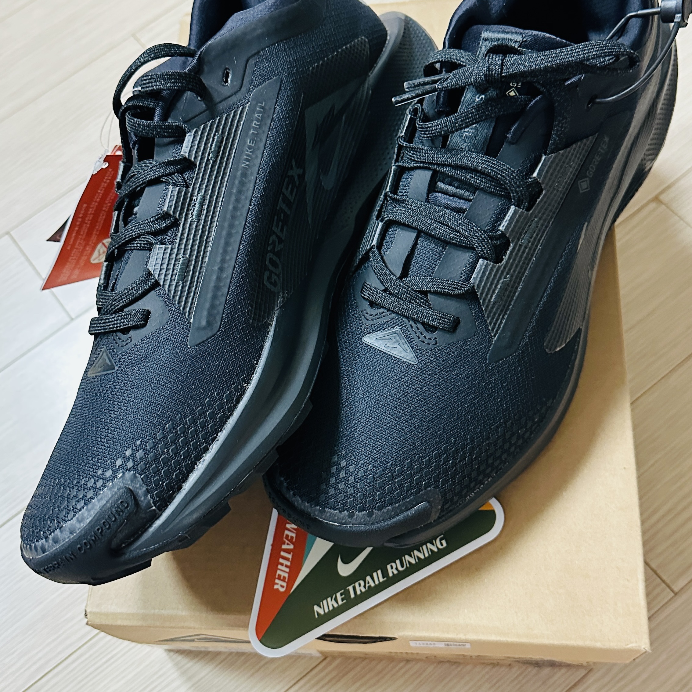 Nike Pegasus Trail 5 Gore-Tex Black 착용 스타일 - 1