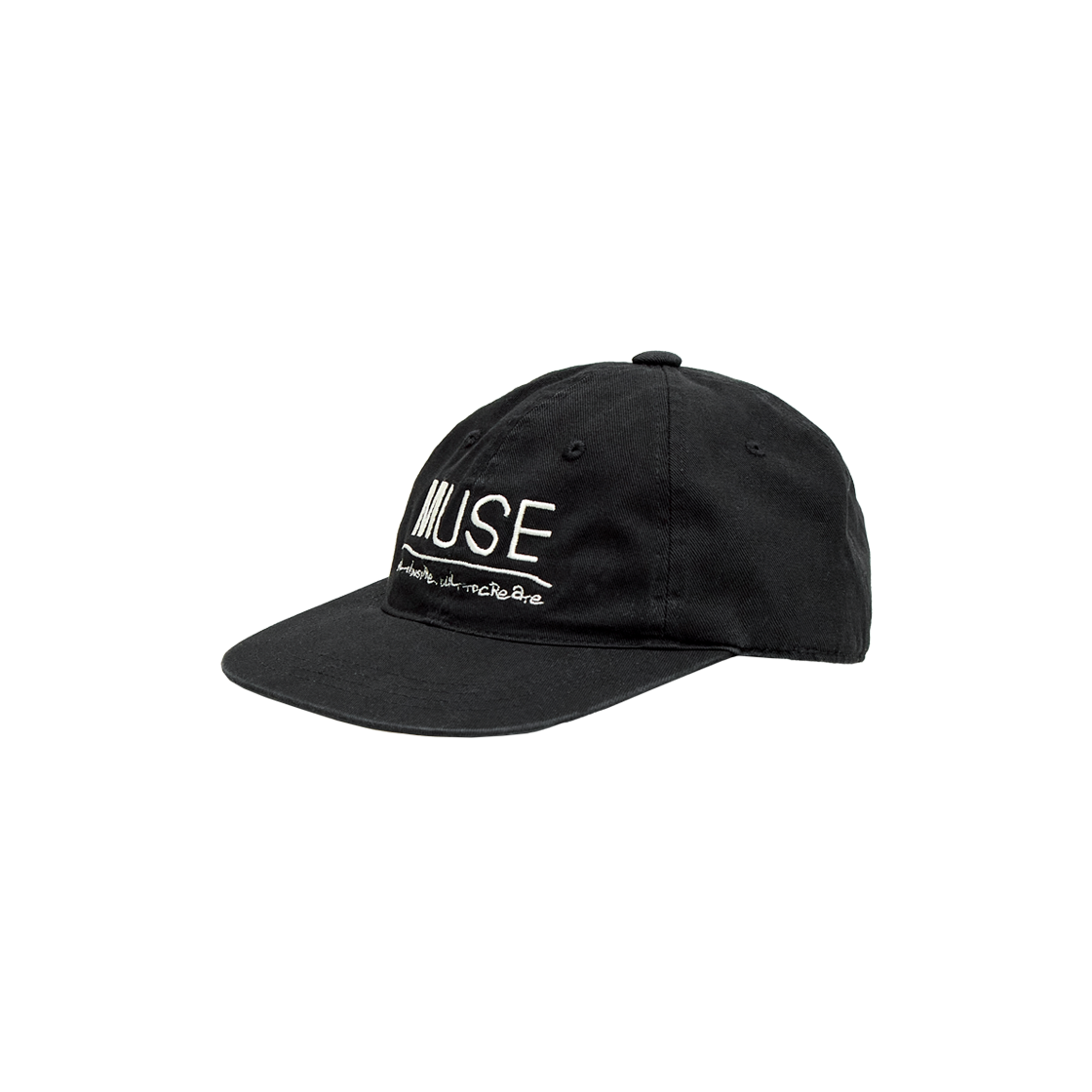 PG5THE6101B0 Polyteru 1011 Muse Cap Black (Idiot Fit) - #2