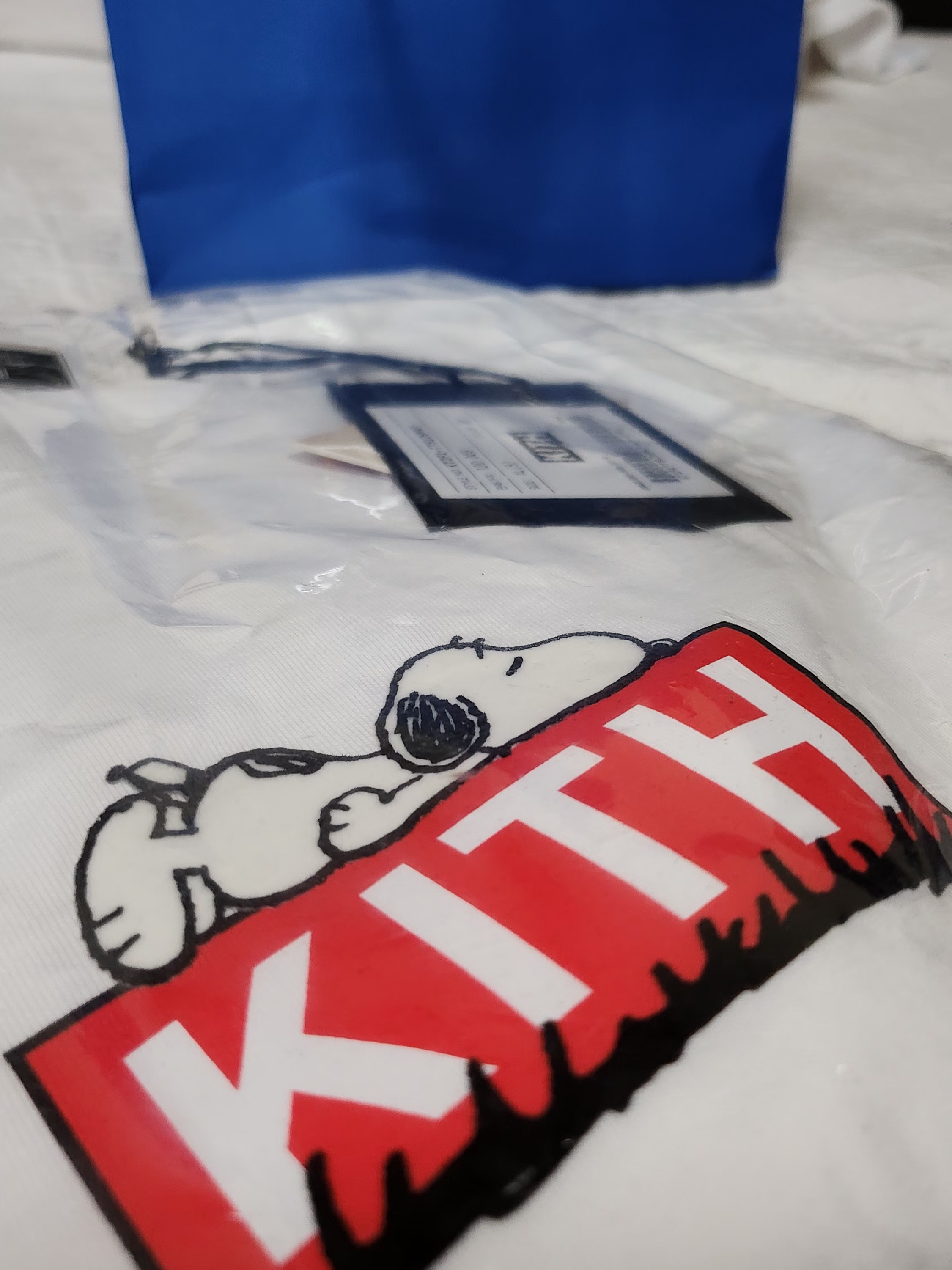 Kith x Peanuts Doghouse Classic Logo T-Shirt White 착용 스타일 - 1