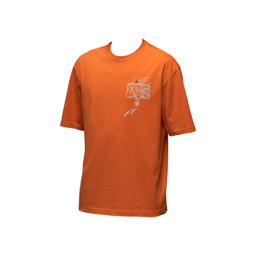 Jordan Brooklyn Oversized Graphic T-Shirt Starfish Sail (IB3297-805)