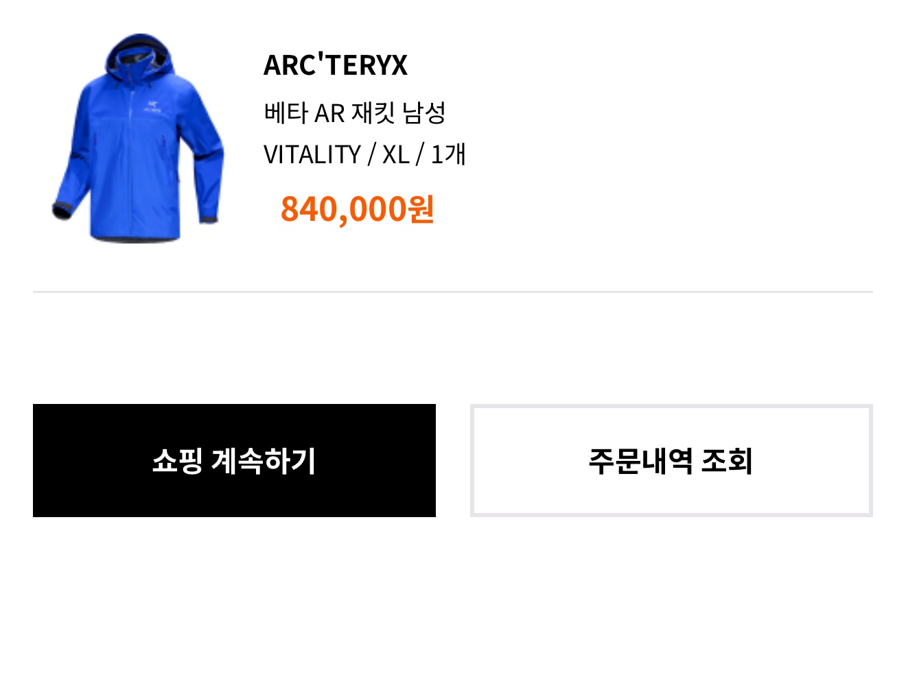 Arc'teryx Beta AR Jacket Vitality 착용 스타일