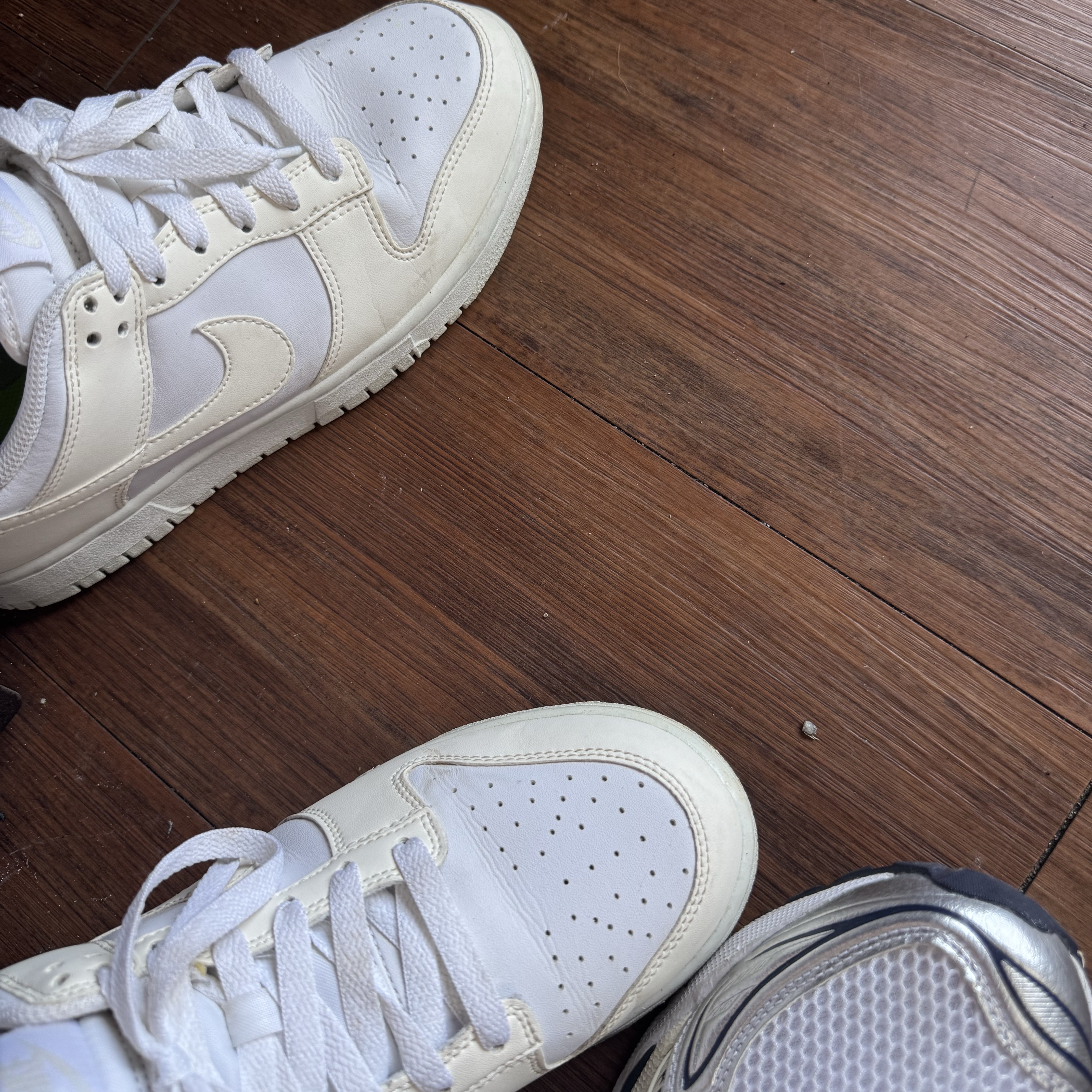 (W) Nike Dunk Low Next Nature Sail 착용 스타일