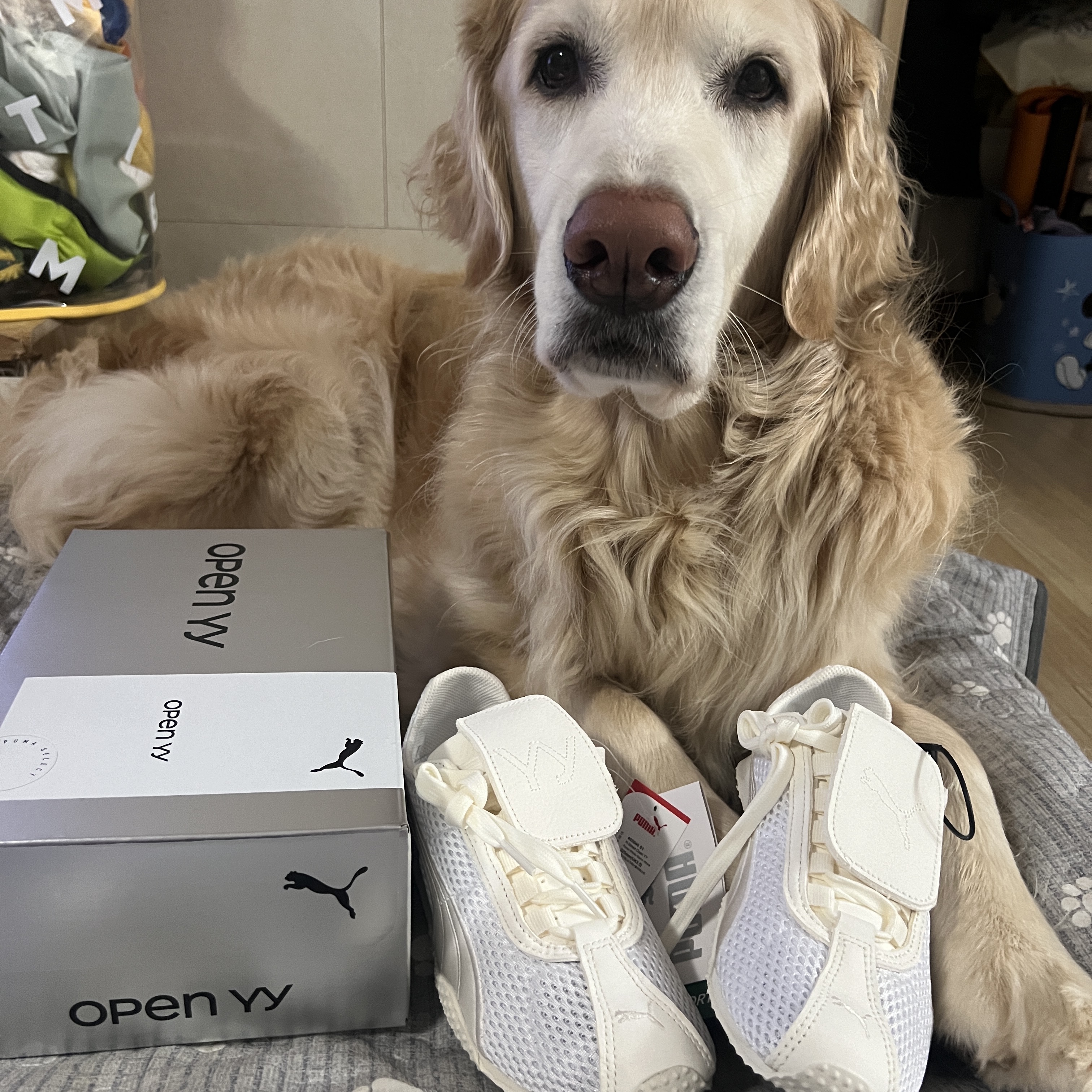 Puma x Open Yy H-street White Warm White 착용 스타일