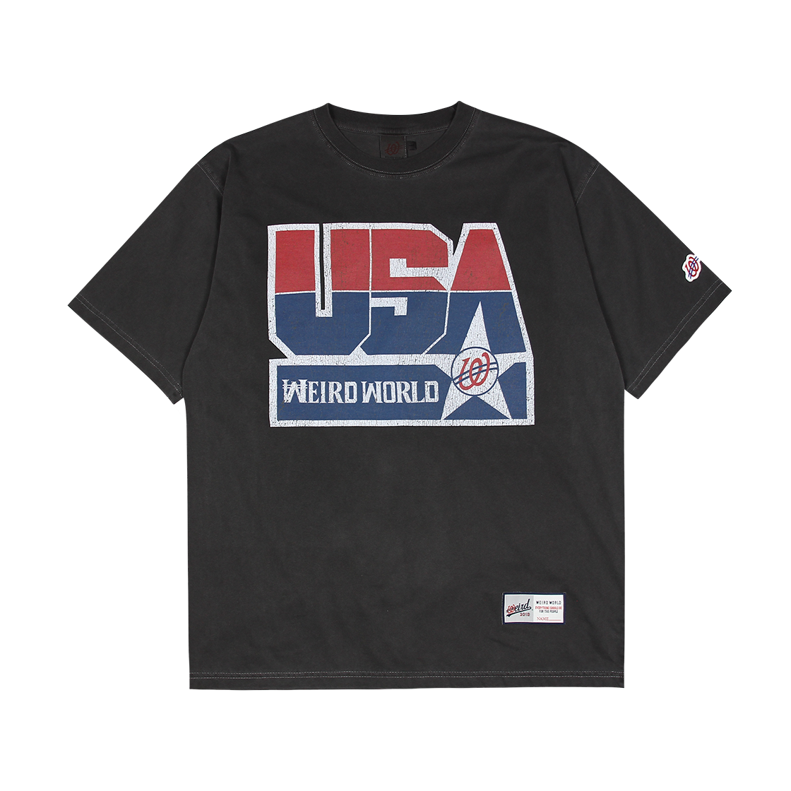 위얼드월드 1996 드림팀 피그먼트 티셔츠(Weird World 1996 Dream Team Pigment T-shirt)